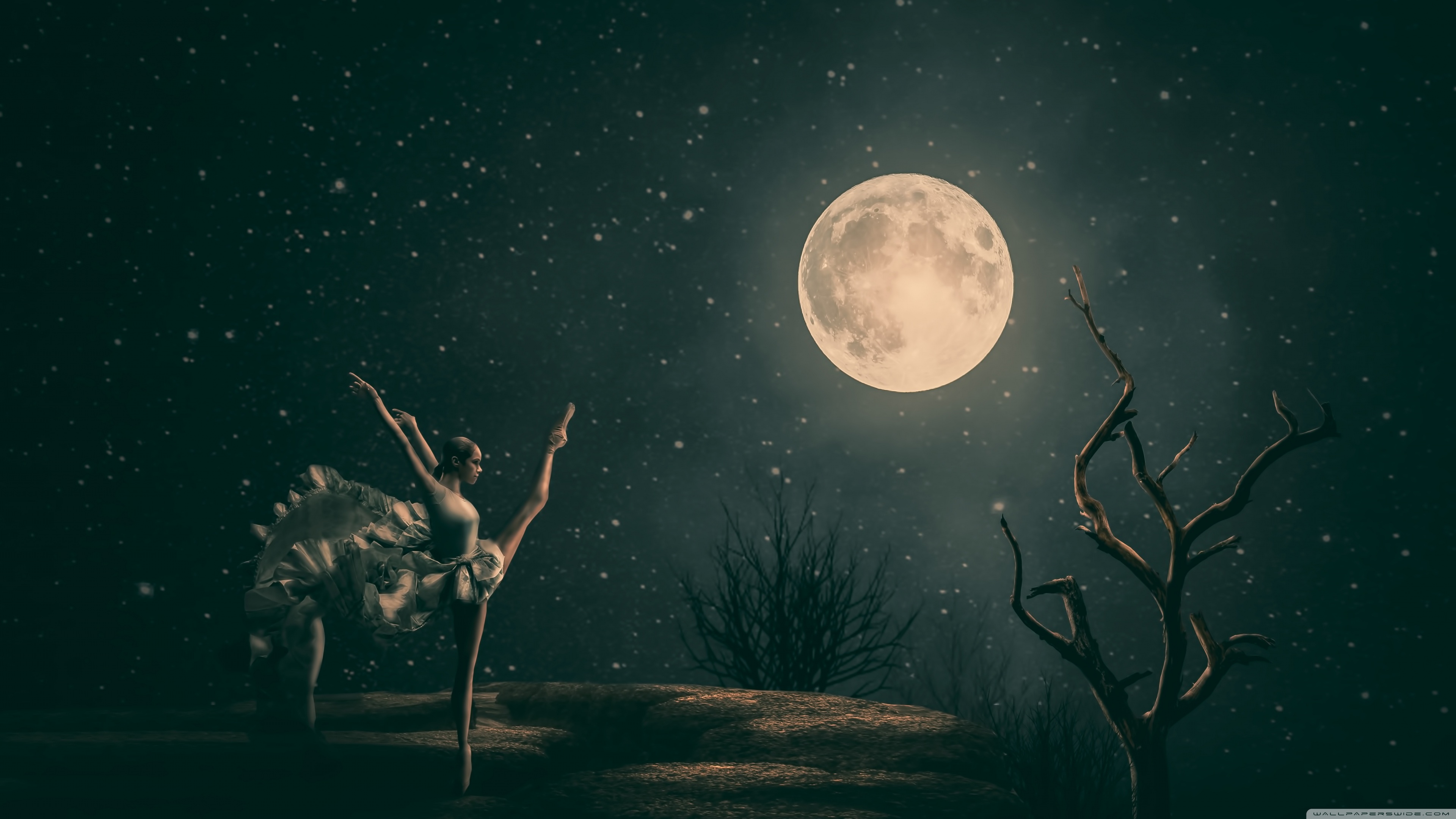 Dancing Ballet, Moonlight Ultra HD Desktop Background Wallpaper for 4K UHD TV, Widescreen & UltraWide Desktop & Laptop, Tablet