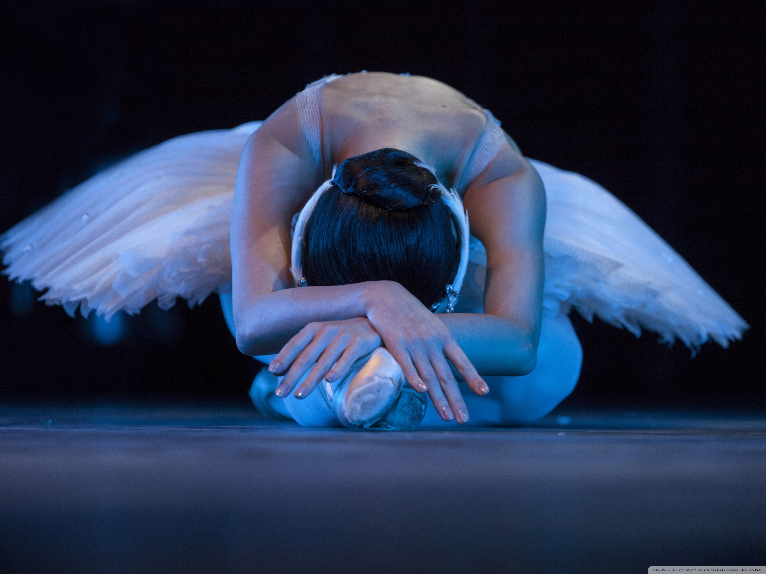 Ballet Ultra HD Desktop Background Wallpaper for 4K UHD TV, Widescreen & UltraWide Desktop & Laptop, Multi Display, Dual Monitor, Tablet