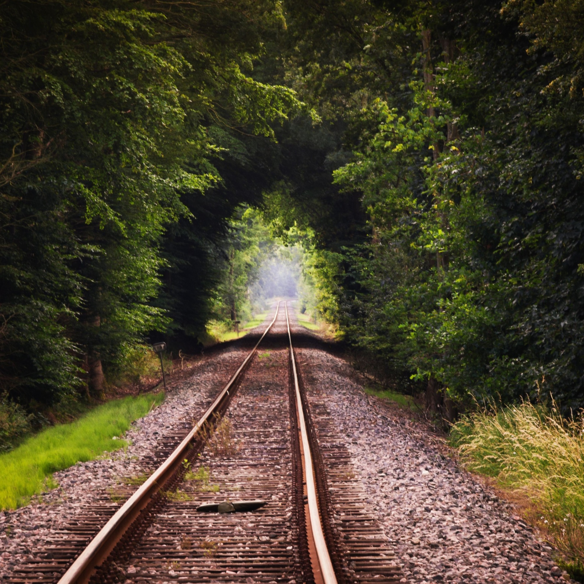 Wallpaper 4k Train Track 4k Wallpaper