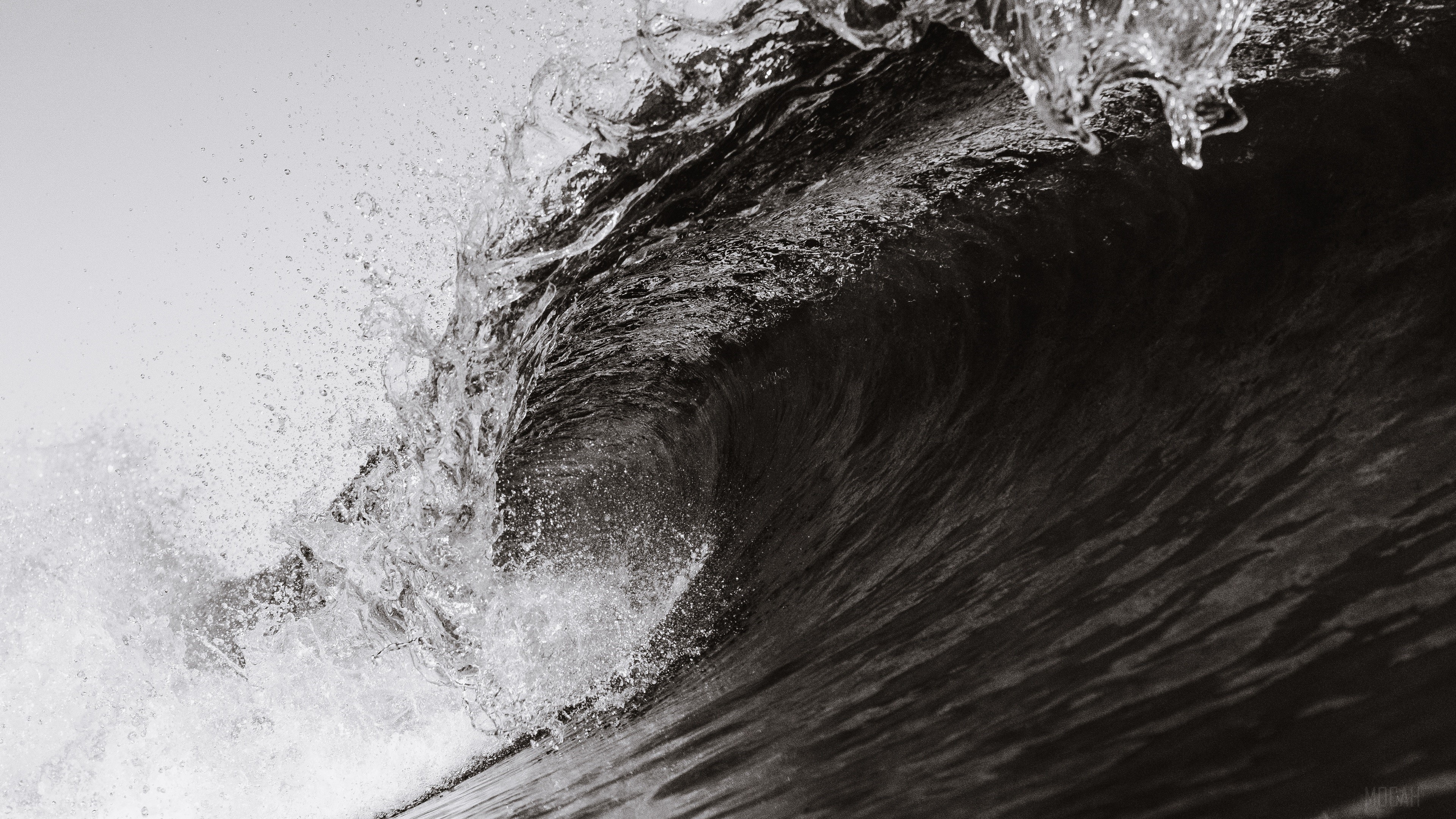 Black and White, Nature, Wave 4k Gallery HD Wallpaper