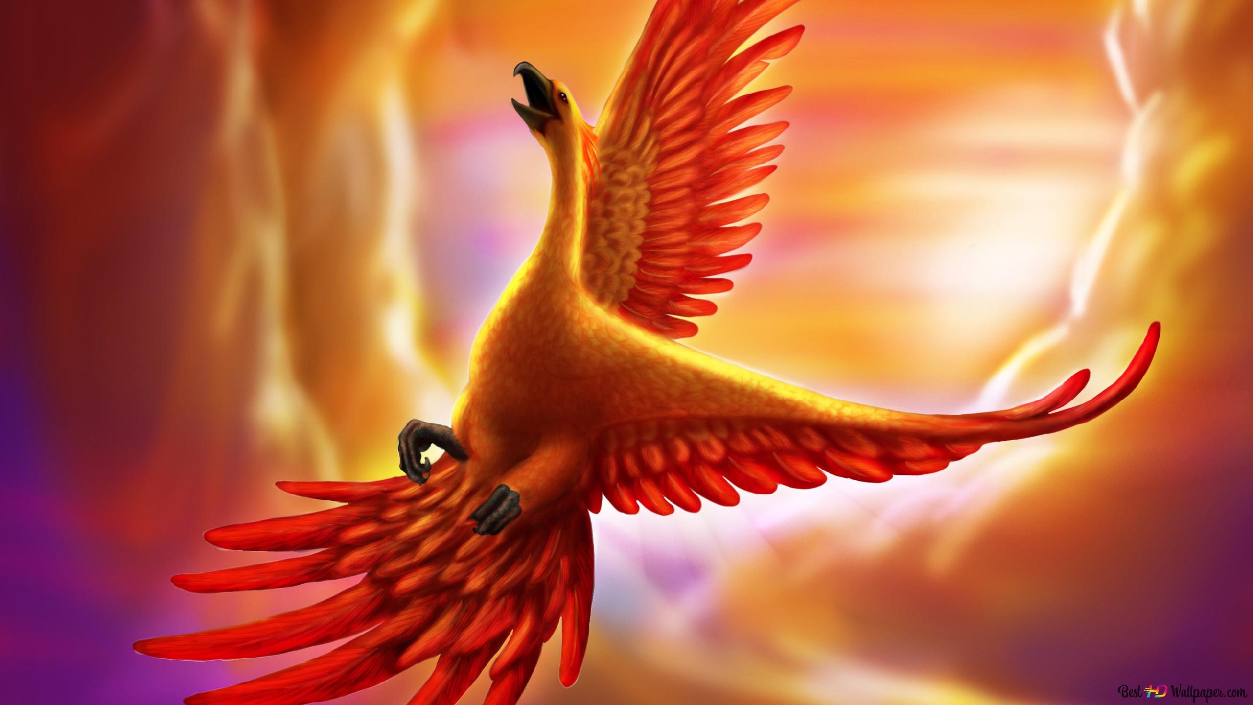 Phoenix Bird 2K wallpaper download