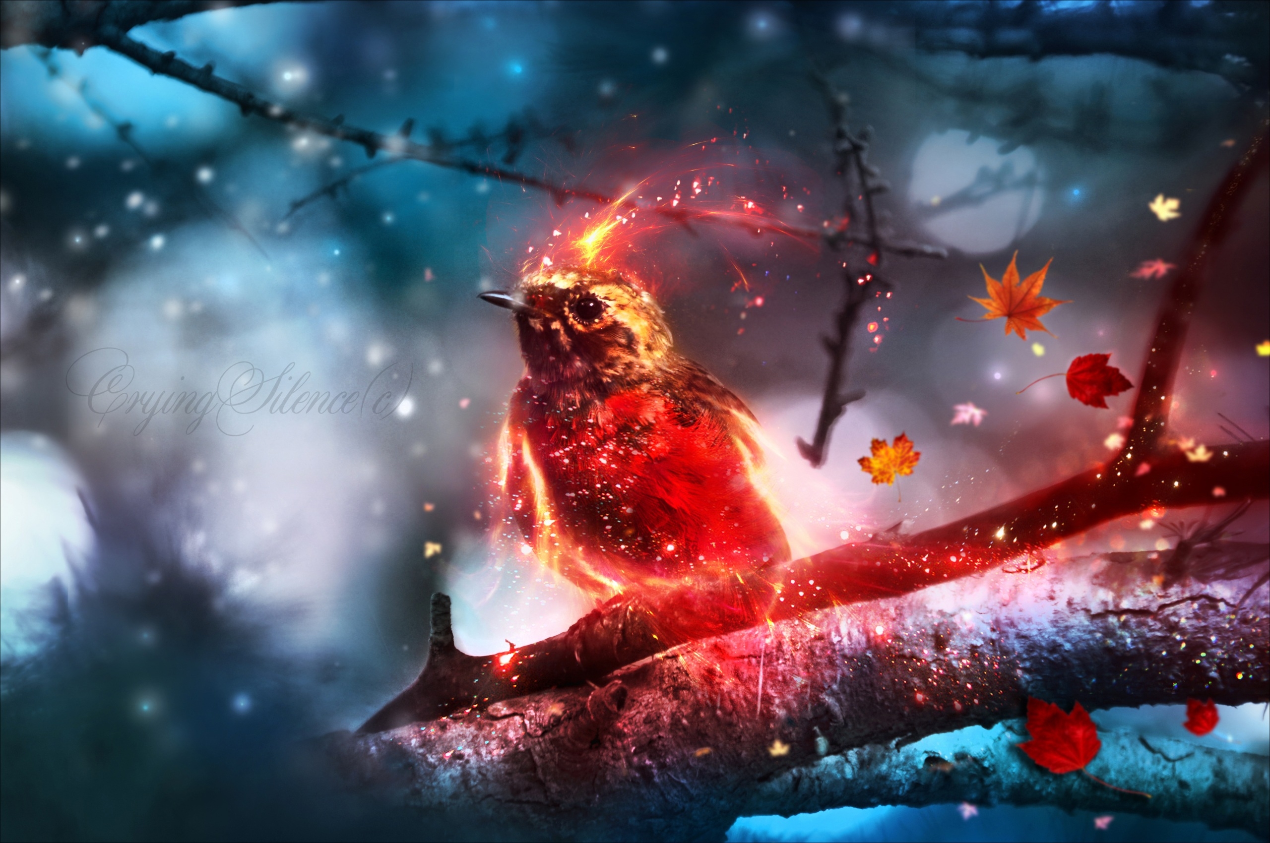 phoenix HD wallpaper, background