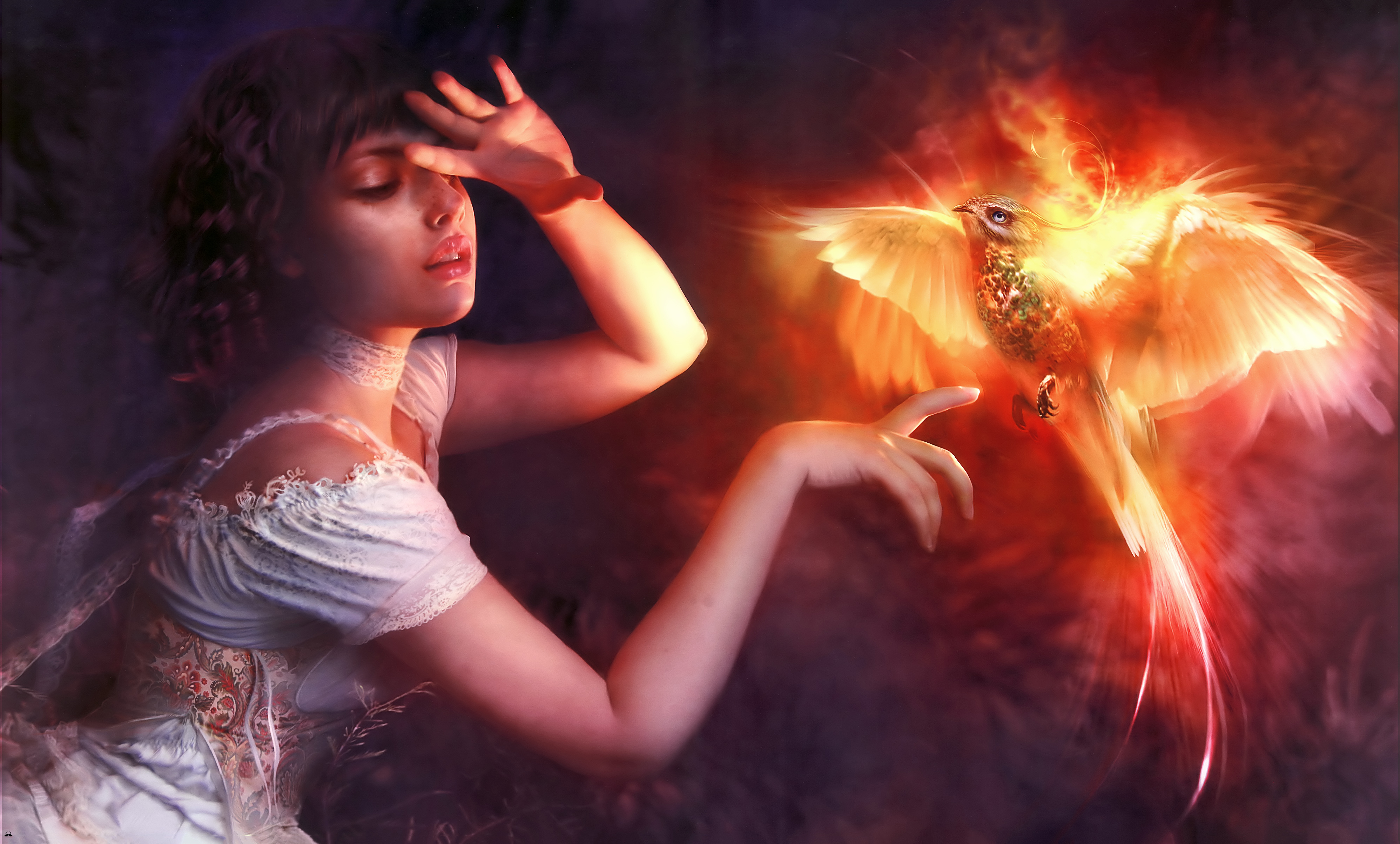 Wallpaper Phoenix Bird With Girl, Birds, Phoenix, Firebird, Lighting, Background Free Image