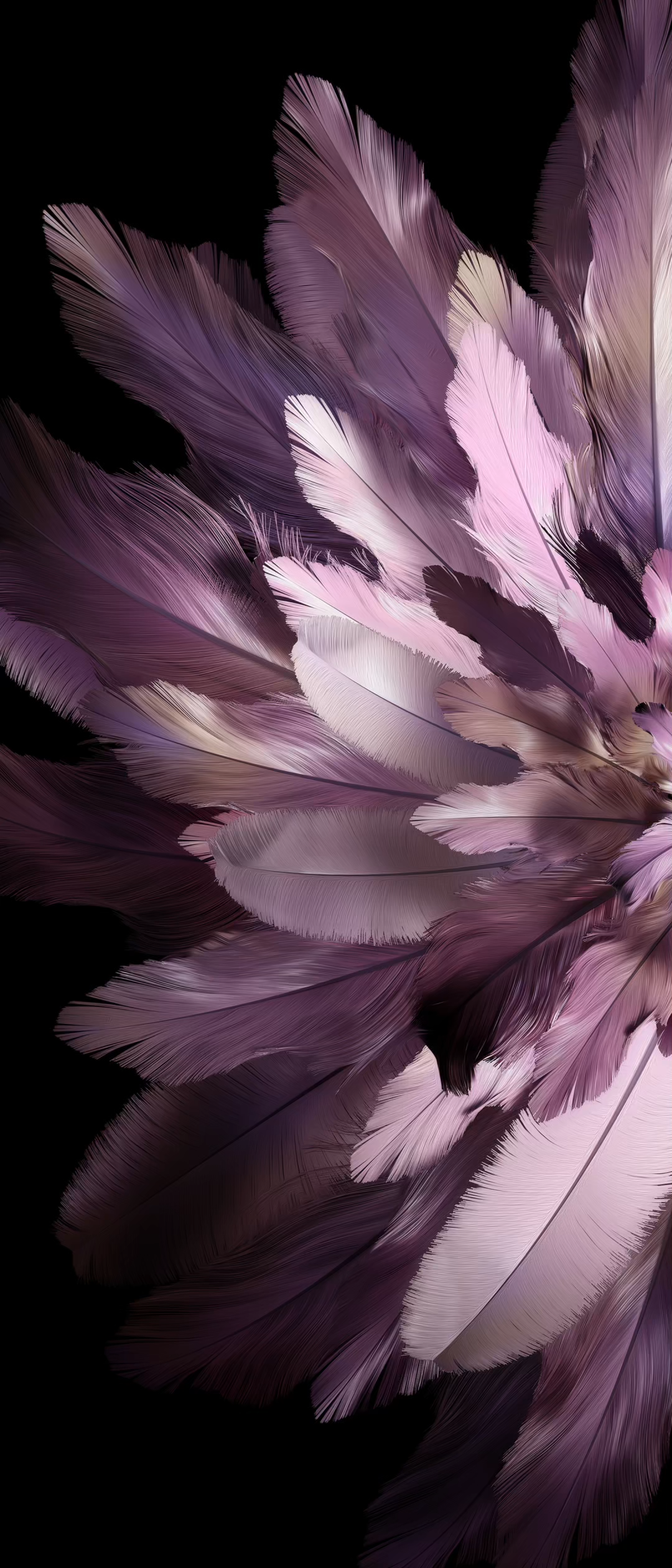 Oppo Find N3 Flip wallpaper