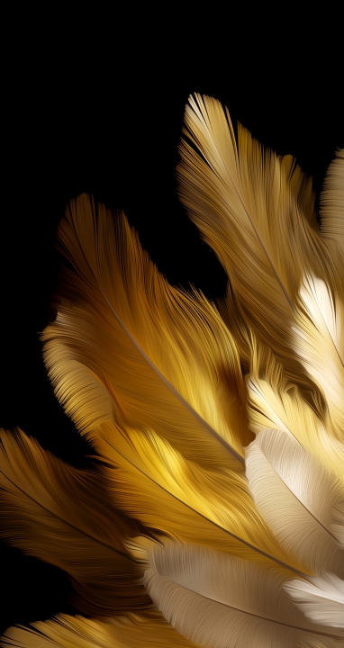 Oppo Find N3 Flip wallpaper