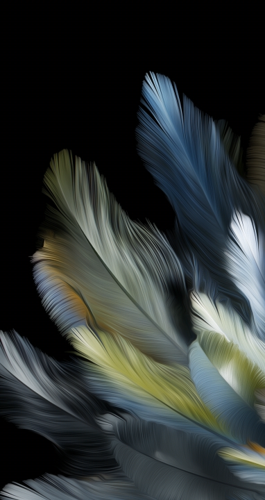 Oppo Find N3 Flip wallpaper