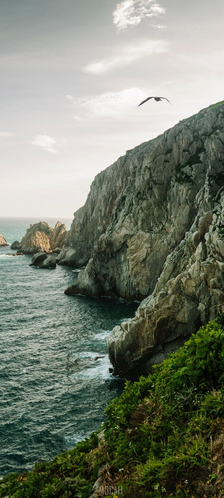 vivo Y20 1080P, 2k, 4k HD wallpaper, background free download