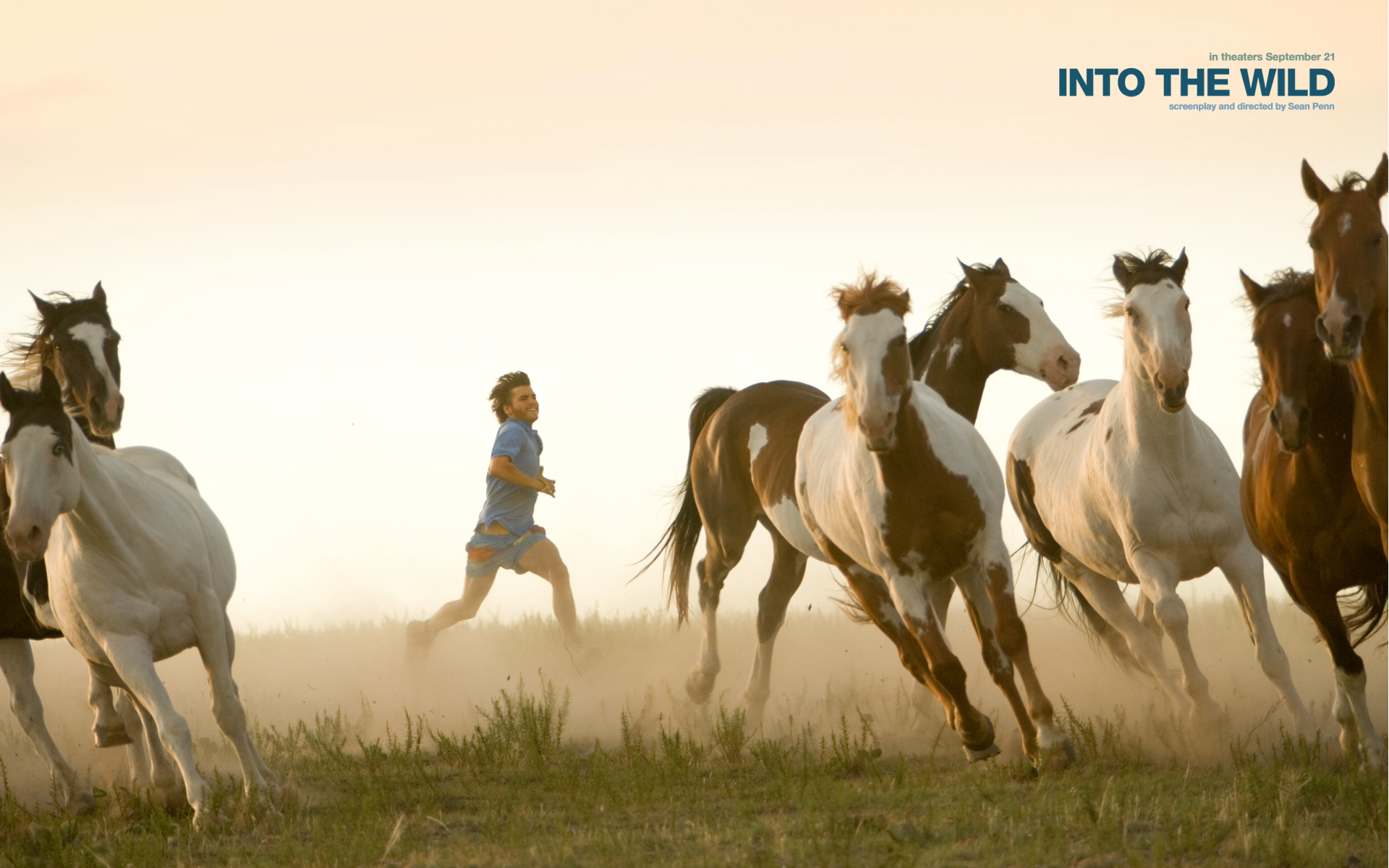 HD desktop wallpaper: Horse, Movie, Into The Wild download free picture