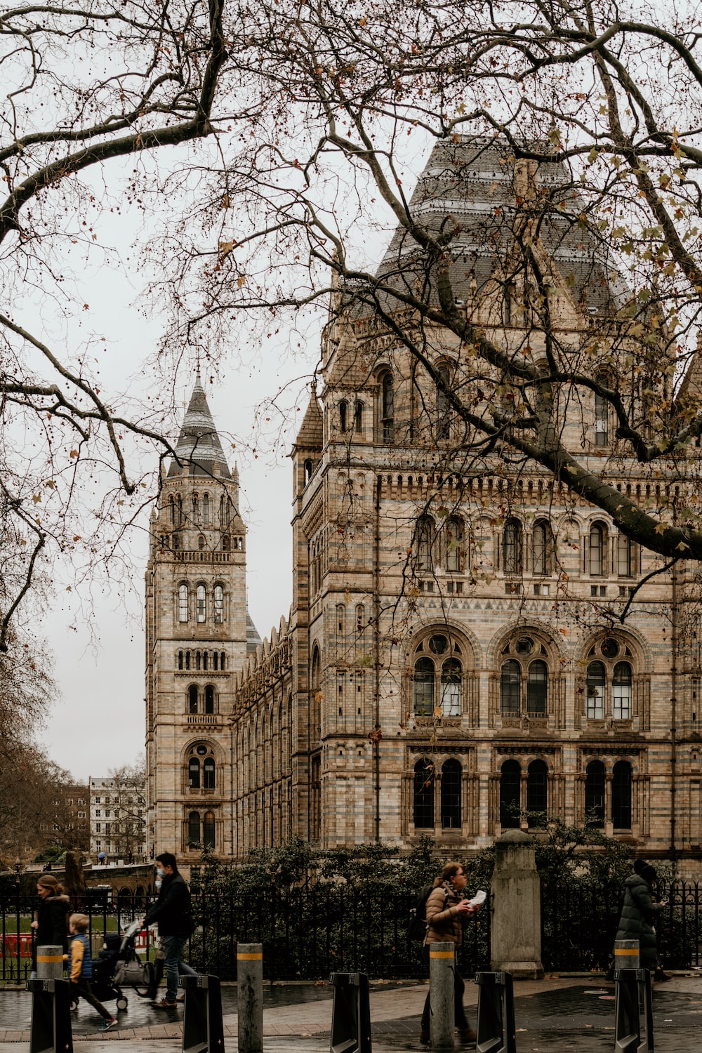 Dark Academia. best free dark, academium, book and grey photo