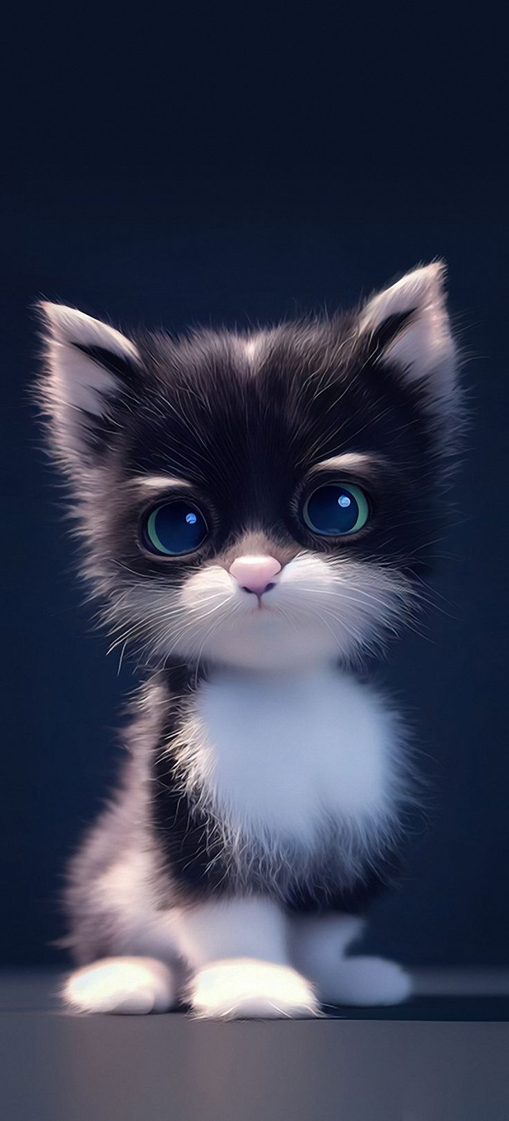 cats phone wallpaper