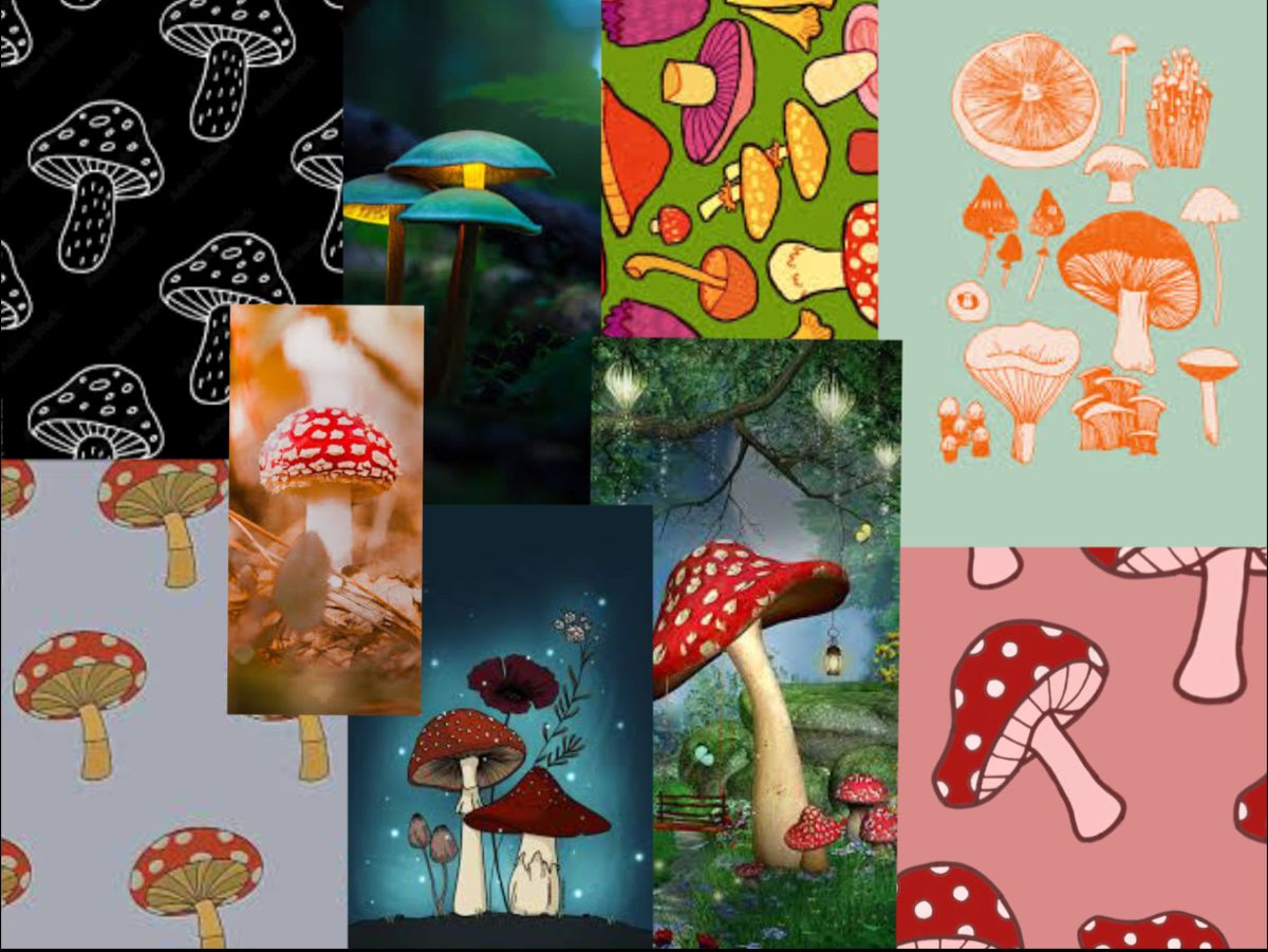 Mushroom Collage Wallpapers - Wallpaper Cave