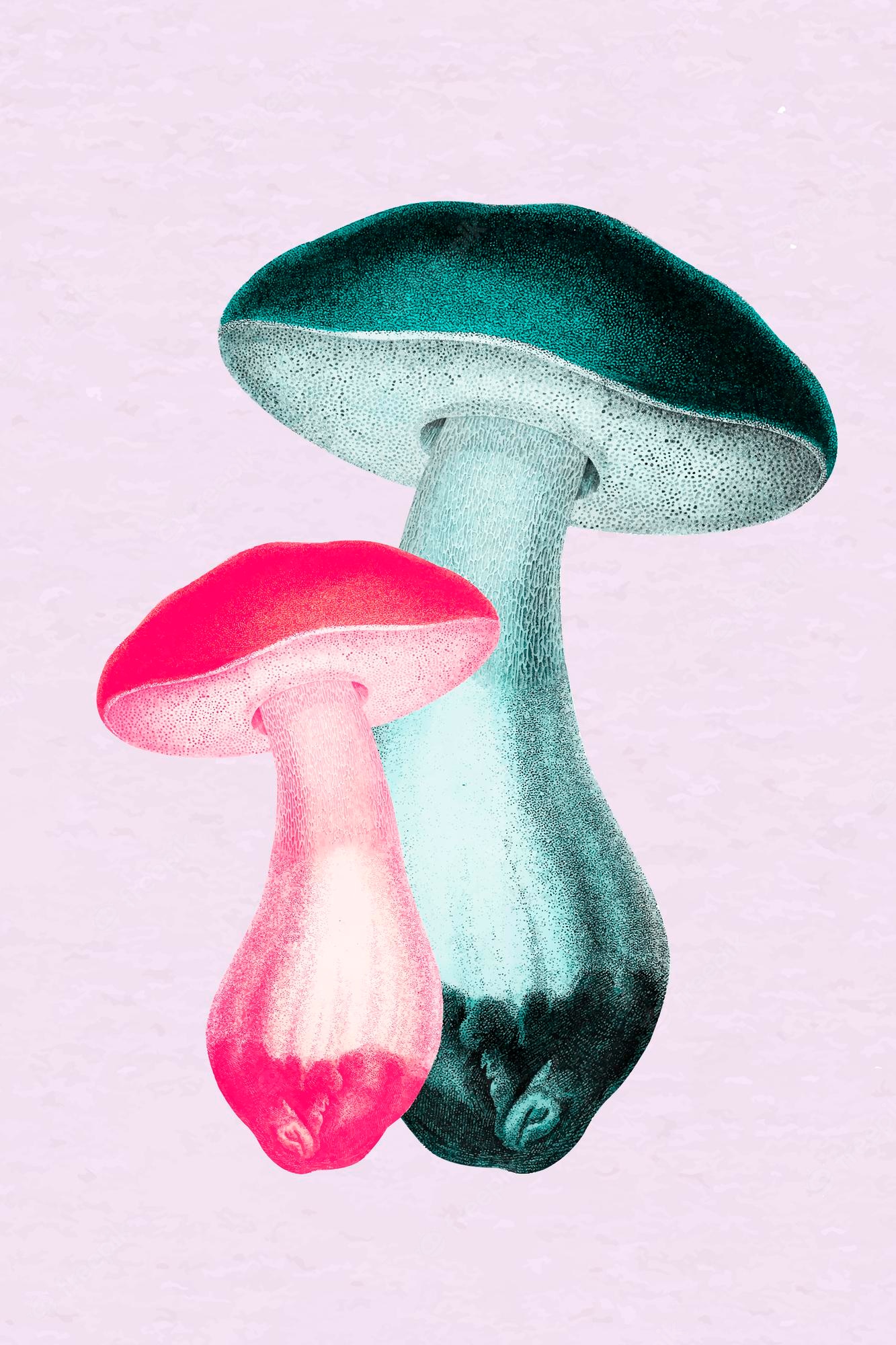 Mushroom Art Image