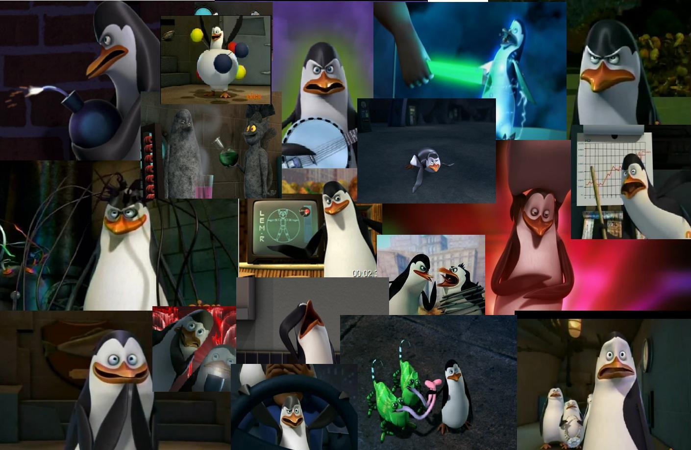 Kowalski Wallpaper of Madagascar Photo