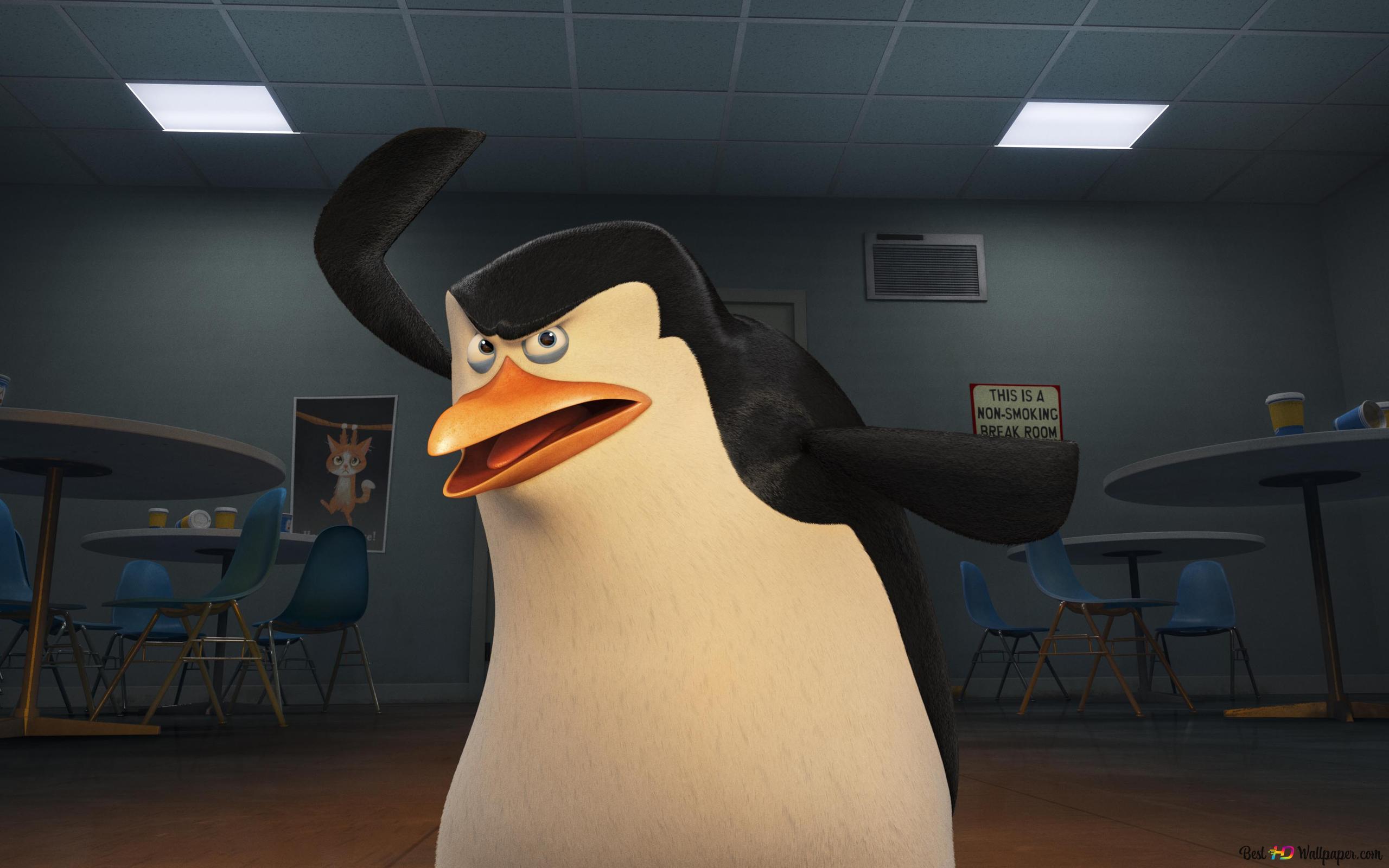 Kowalski knows karate 4K wallpaper download
