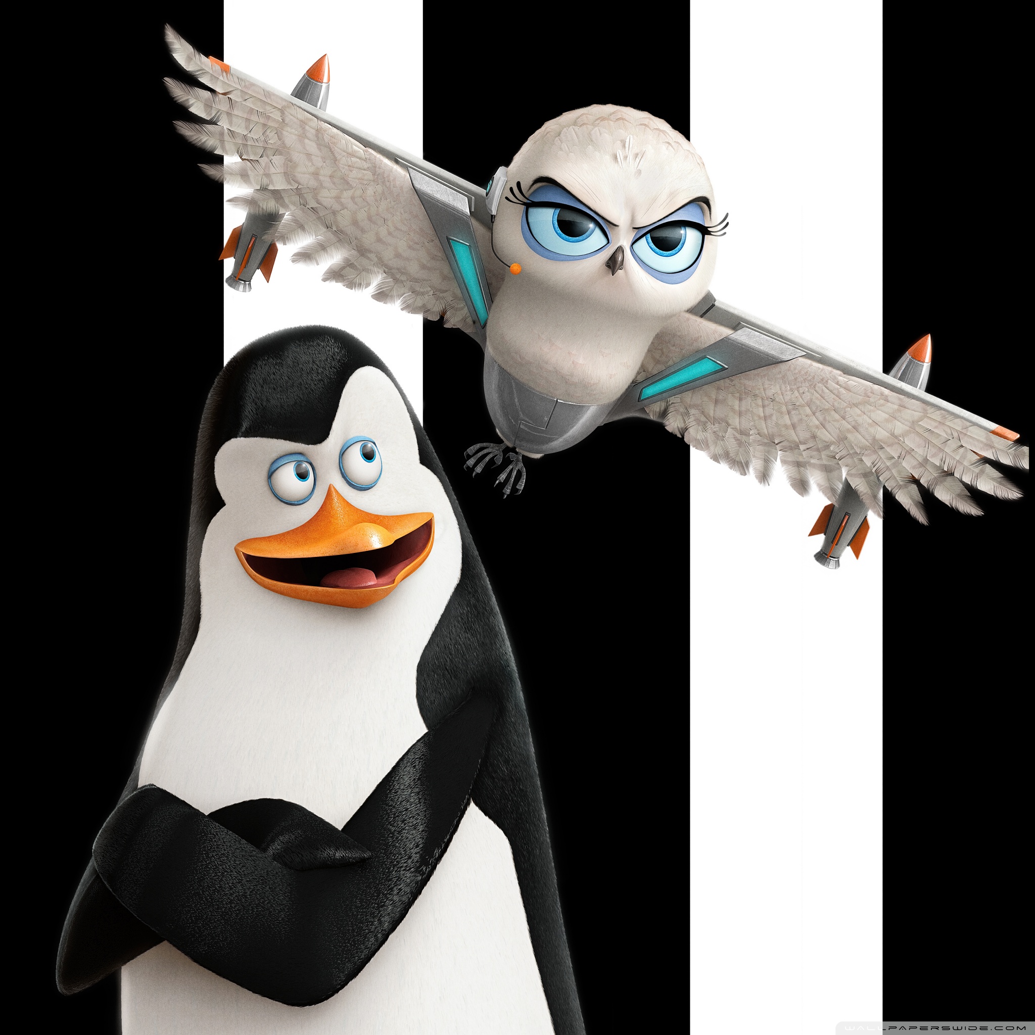 Penguins of Madagascar Kowalski and Eva Ultra HD Desktop Background Wallpaper for 4K UHD TV, Widescreen & UltraWide Desktop & Laptop, Tablet