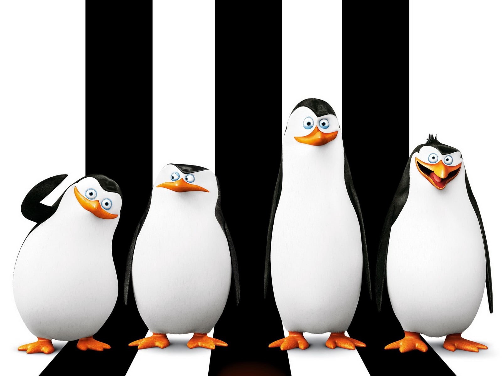 Wallpaper / illustration, white color, food and drink, studio shot, cartoon, bird, human representation, Rico, group of objects, madagascar, Kowalski, penguin, no people free download