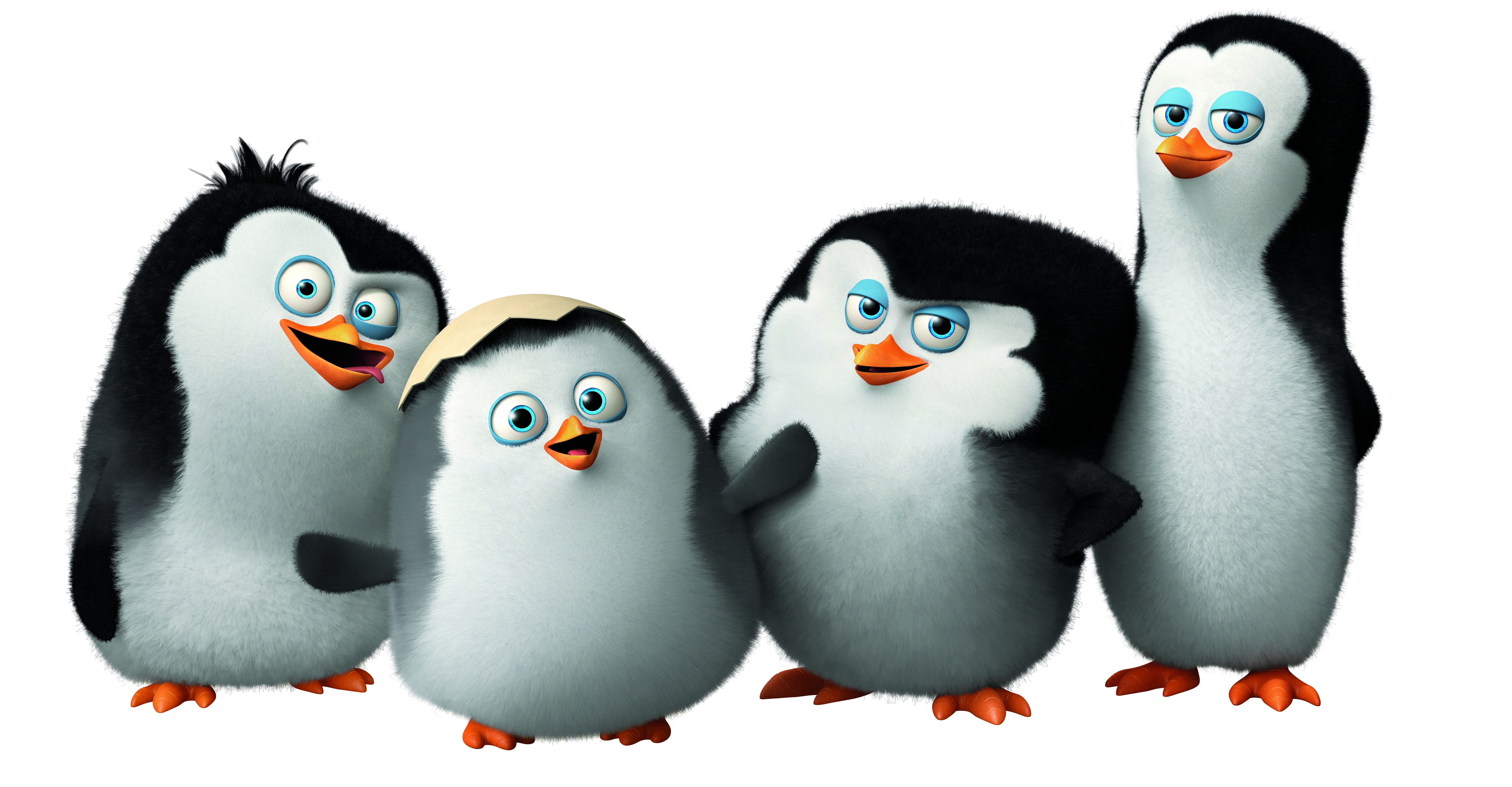 HD, watch, Rico, cartoon, Madagascar, Skipper, Kowalski, Private, Best Animation Movies of 2015, funny, cute penguin, Penguins of Madagascar Gallery HD Wallpaper