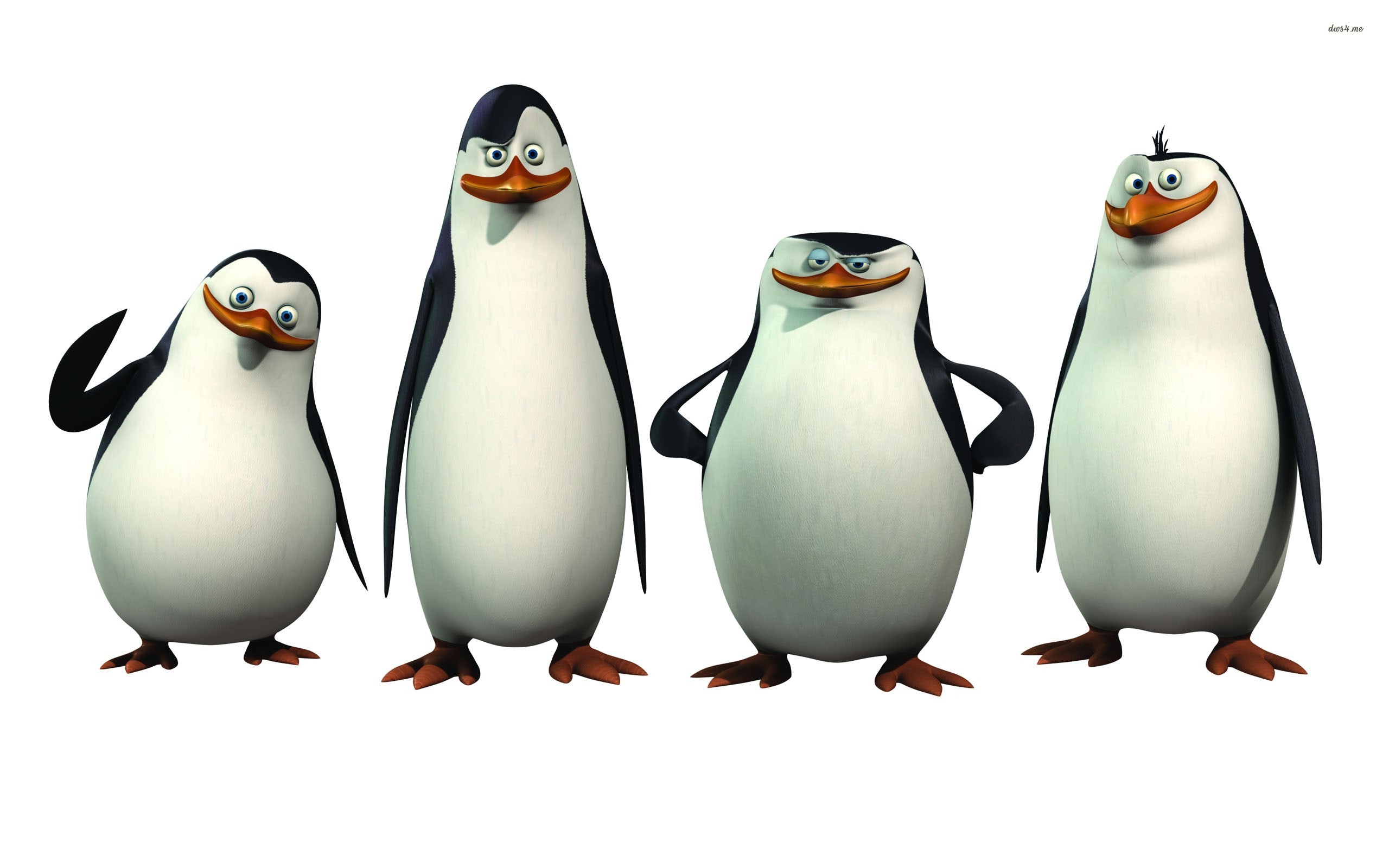 pinguins van madagascar kowalski