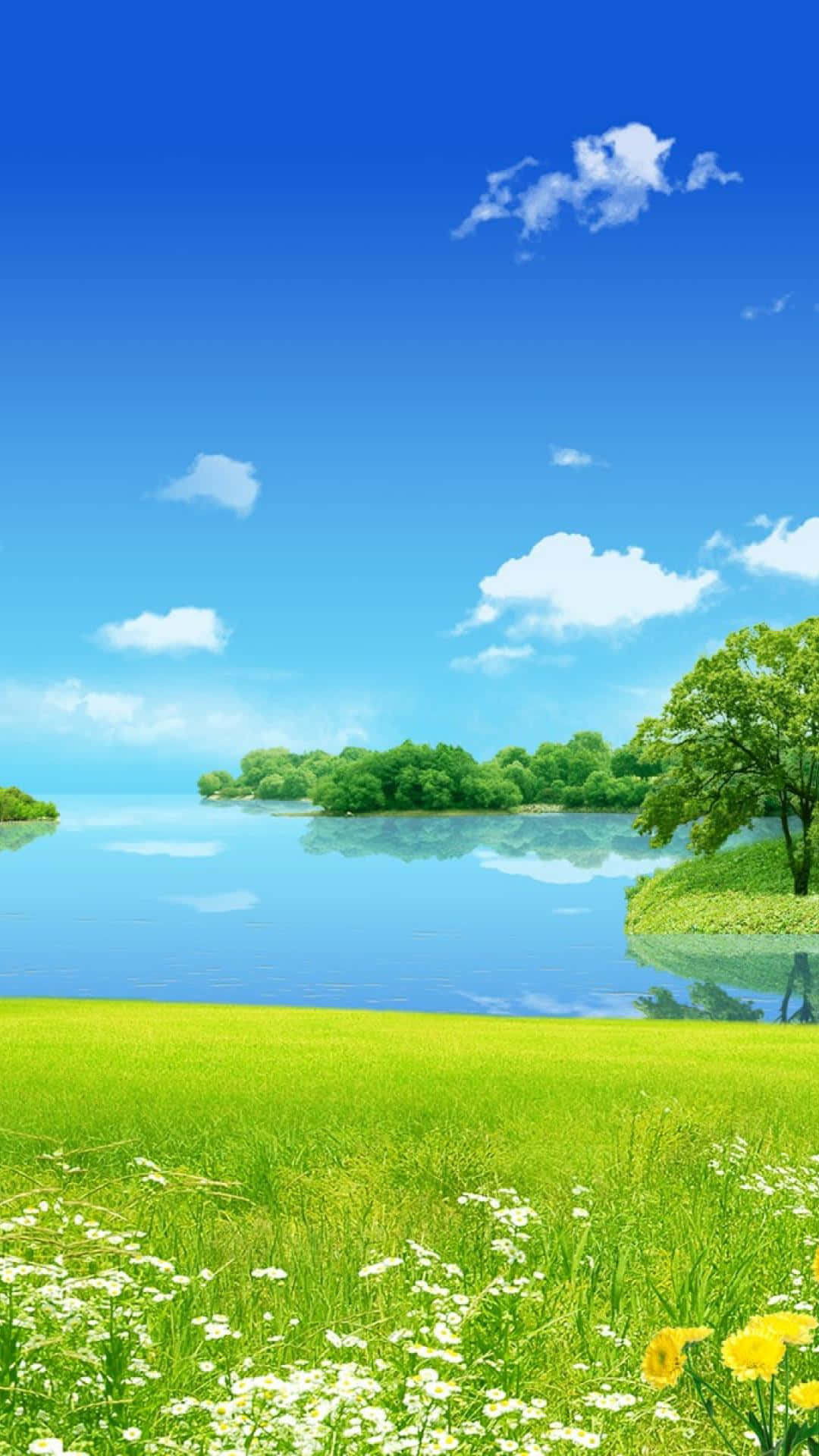 Download Relaxing Meadow Nature Android HD Wallpaper