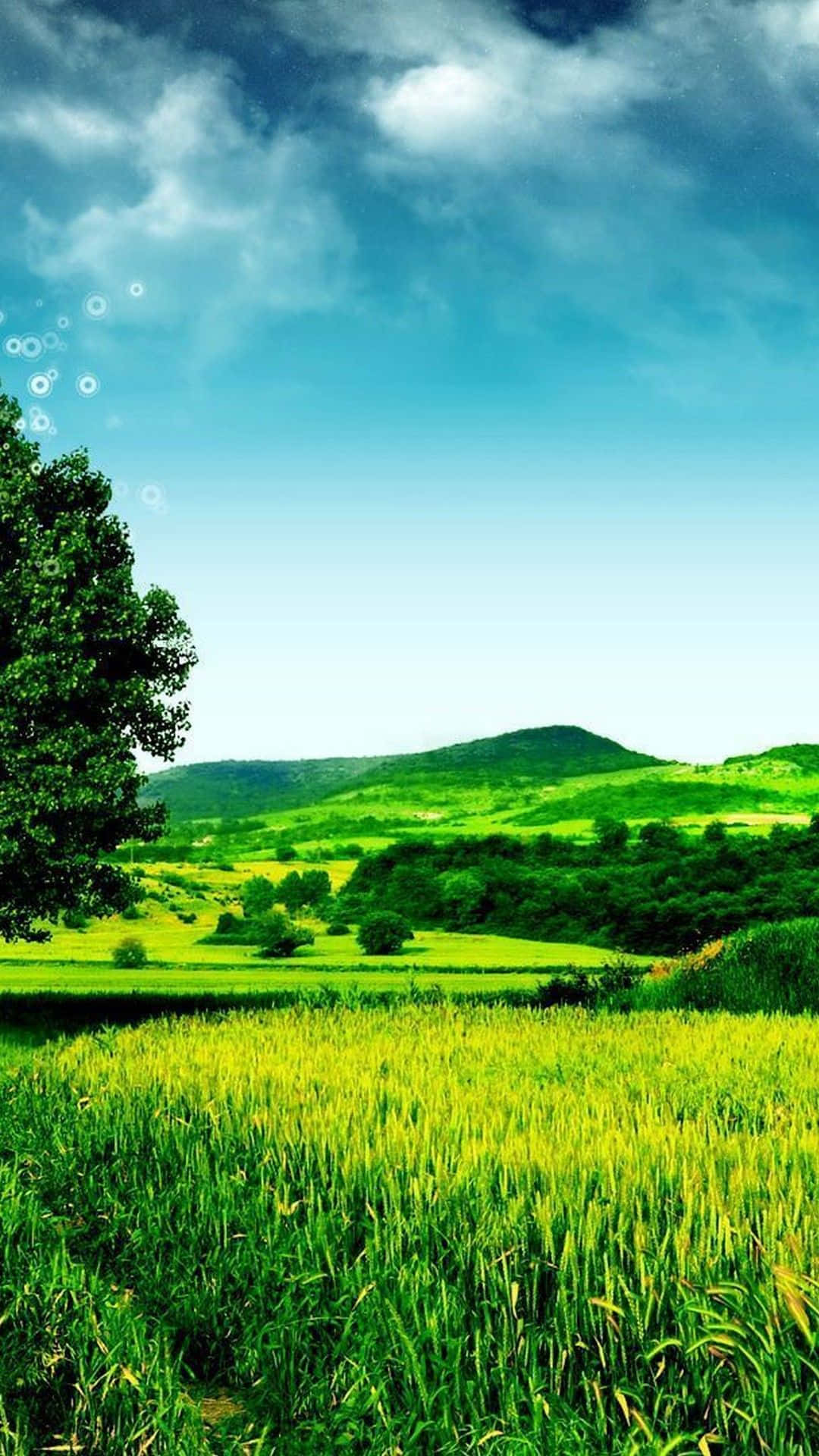 Download Vast Green Hills Nature Android HD Wallpaper