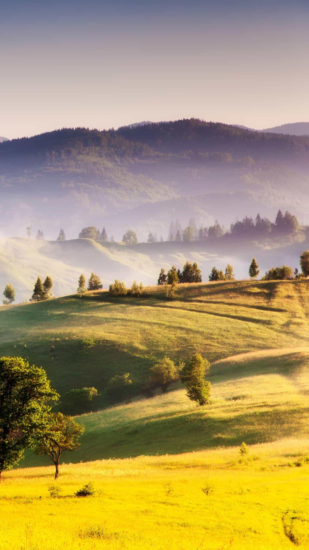 Beautiful Nature HD Wallpaper Beautiful Nature Wallpaper [ HQ ]