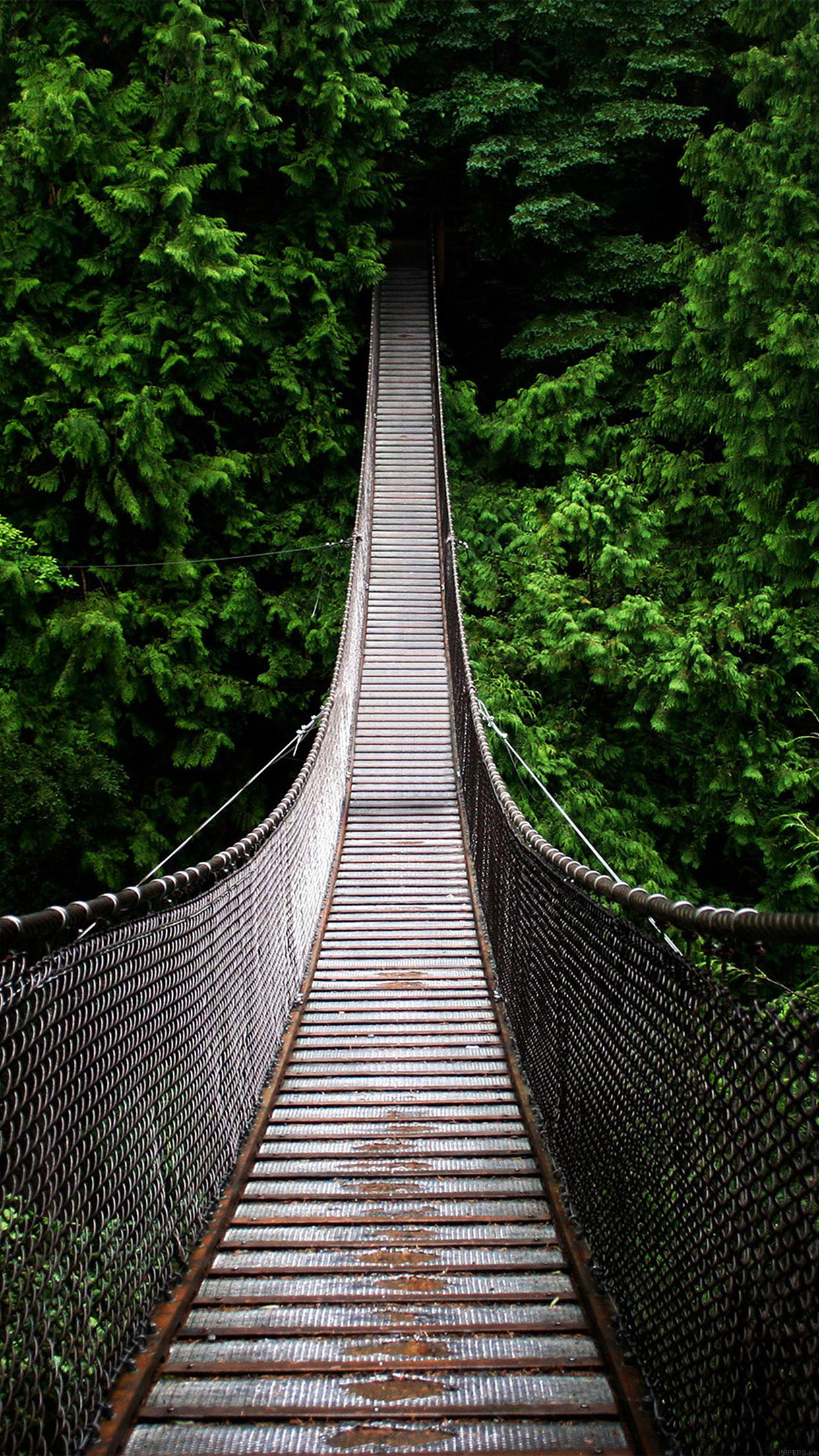 One Way Home Mountain Nature Android wallpaper HD wallpaper