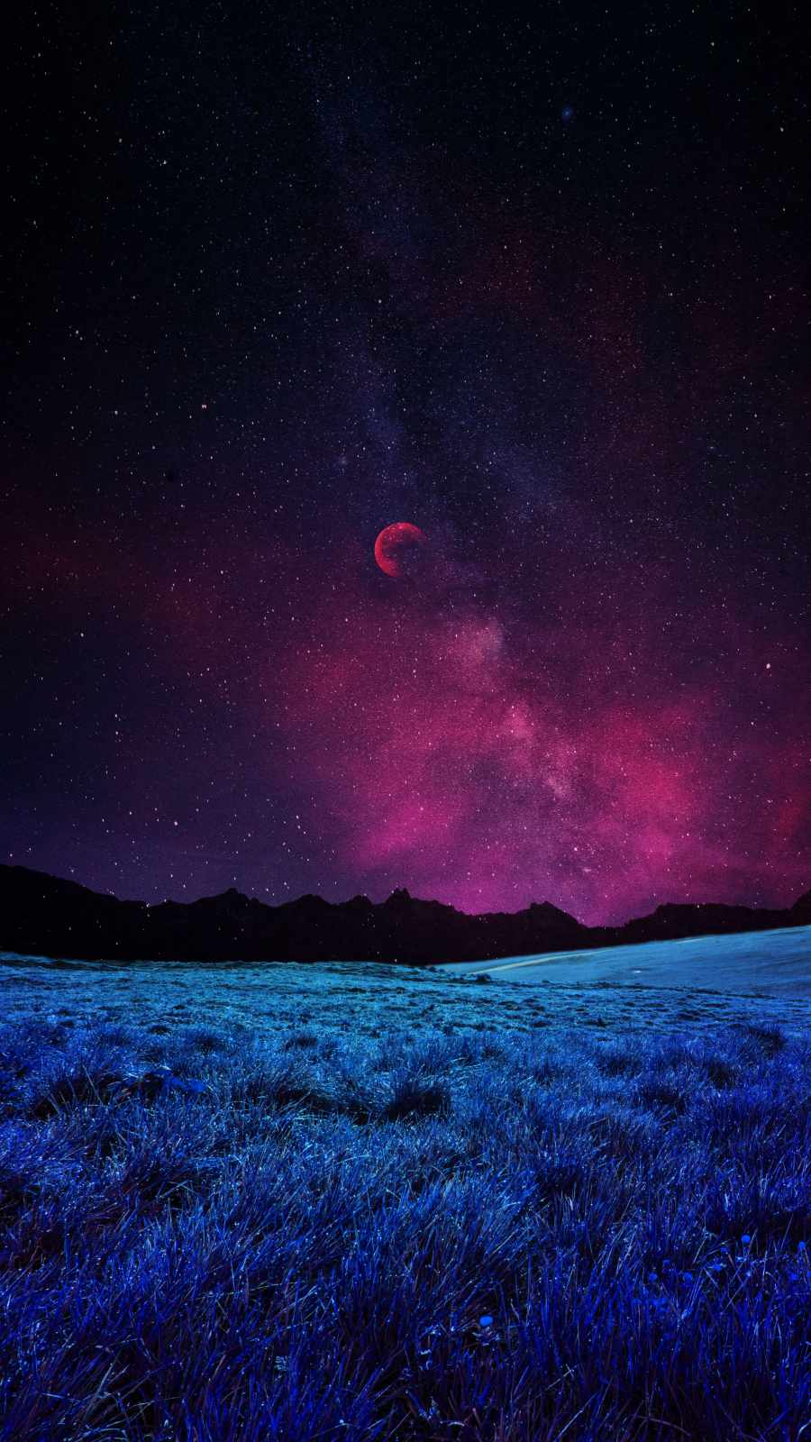 Grass Fields Night Sky Stars IPhone Wallpaper IPhone Wallpaper Wallpaper Download