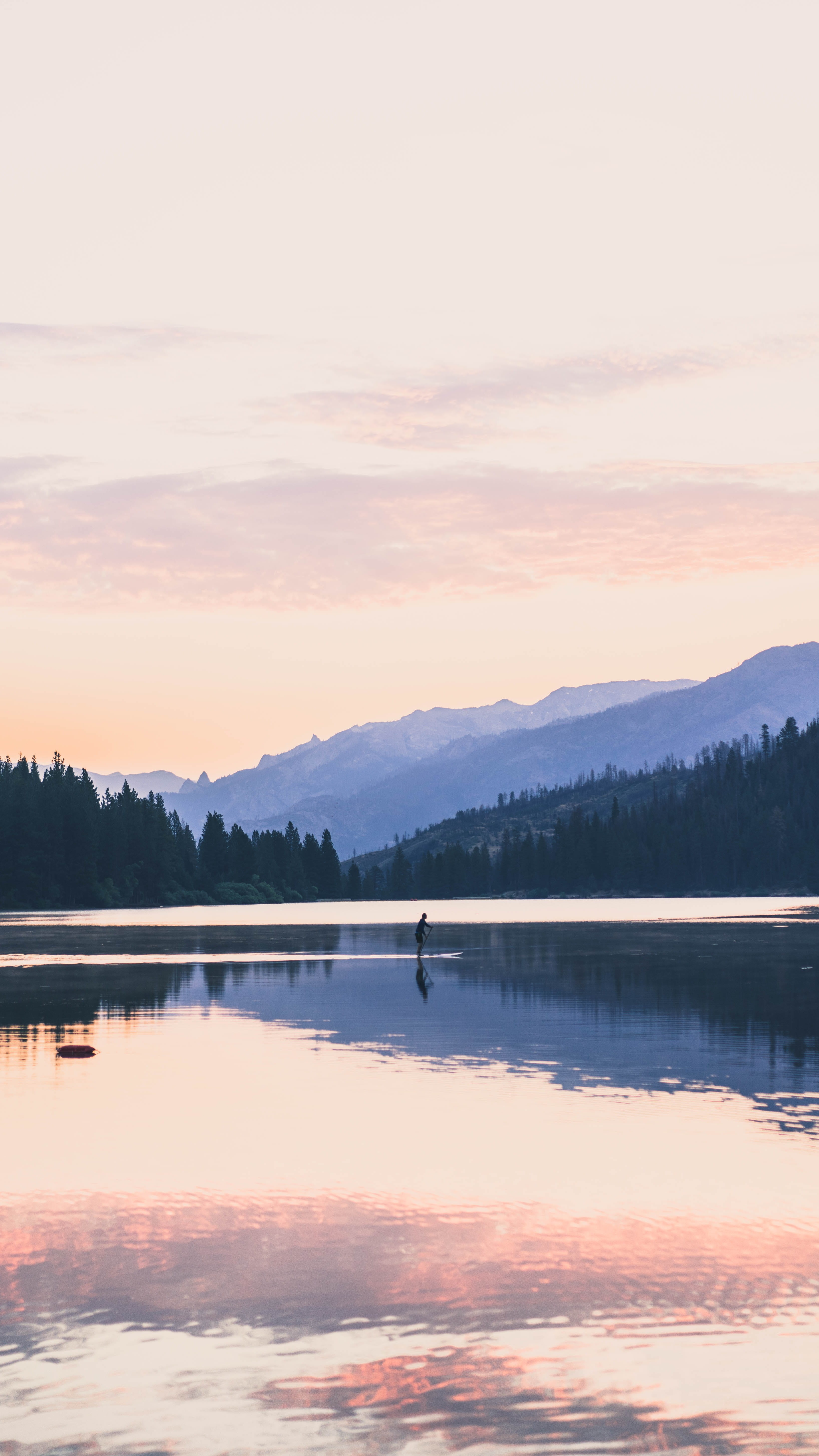 Wallpaper / forest, background, 5K, tranquility, scenics, united states, tranquil scene, lake, phone background, reflection lake, android background, lock screen background free download