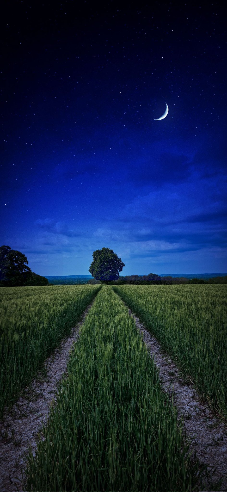 Wallpaper #wallpaper for your #smartphone lockscreen and home screen #Set #Night #Day #Moon #Sky #Nature #Tree