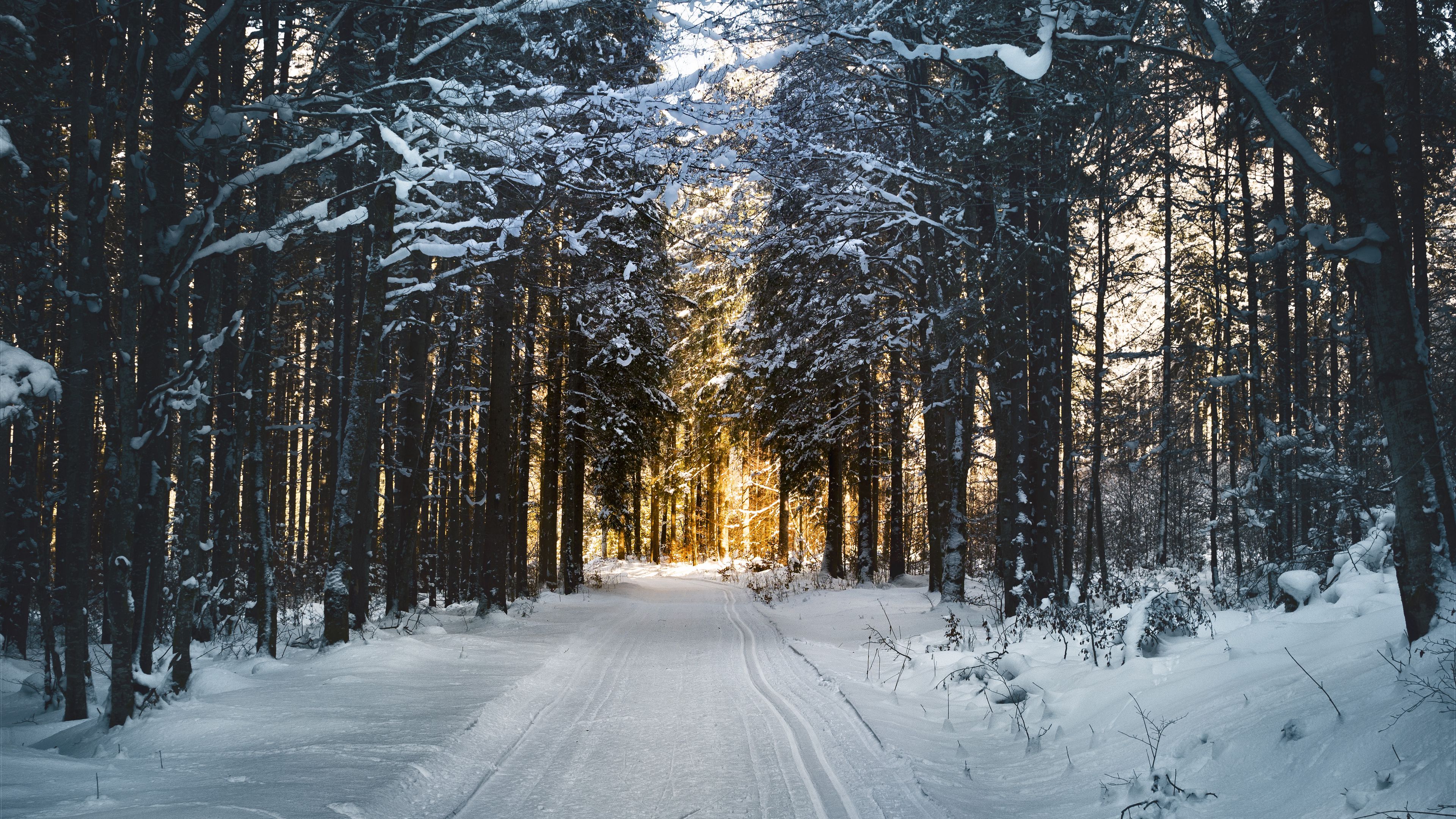 Wallpaper / winter, snow, road, trees, 4k free download