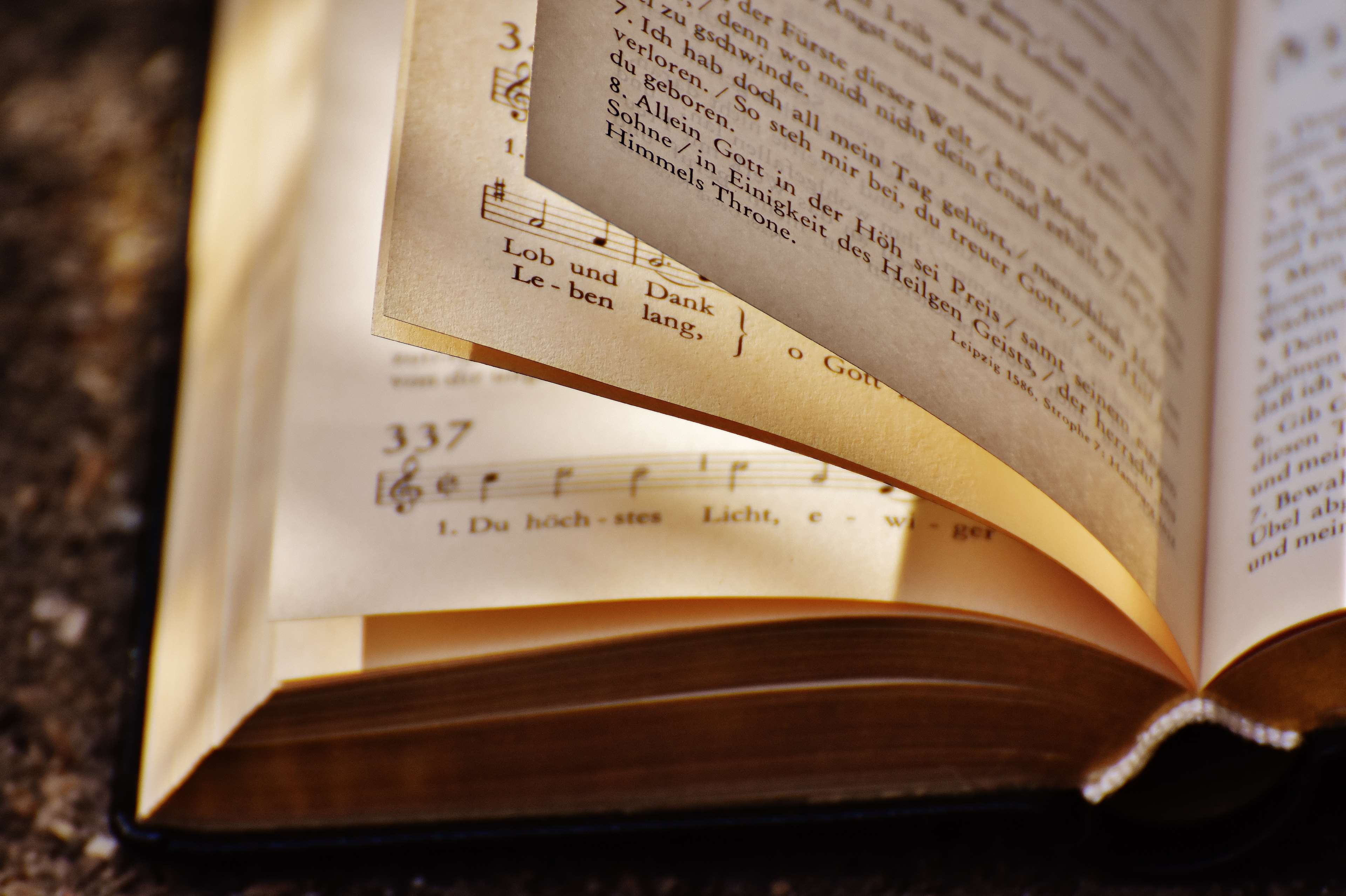 bible, book, christian, christianity, dark, education, indoors, knowledge, macro, pages, papers, poetry, reading, room, scripture, still life, study, table, testament, vintage, wisdom, wood 4k wallpaper