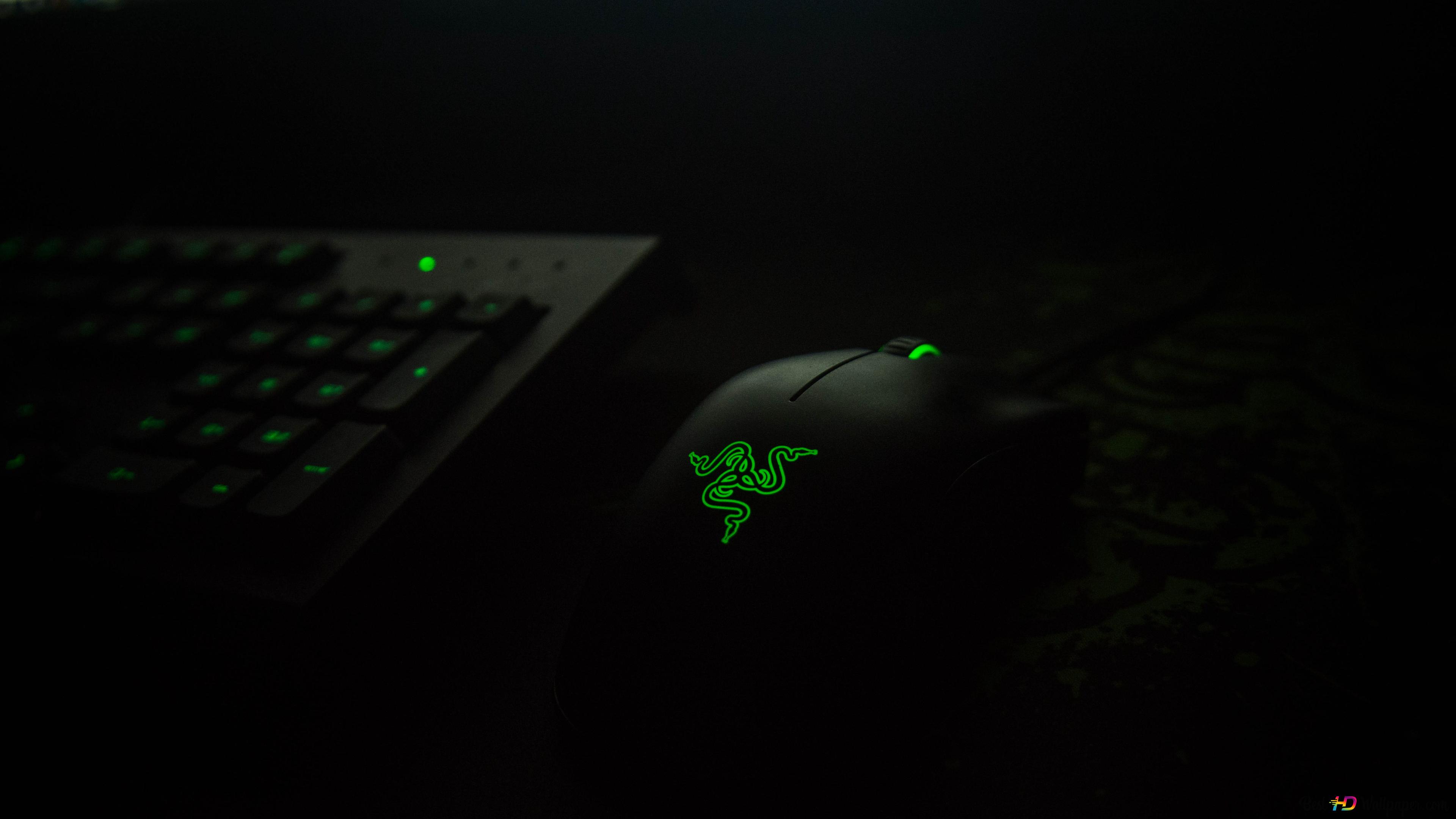 Razer gaming mouse 4K wallpaper download