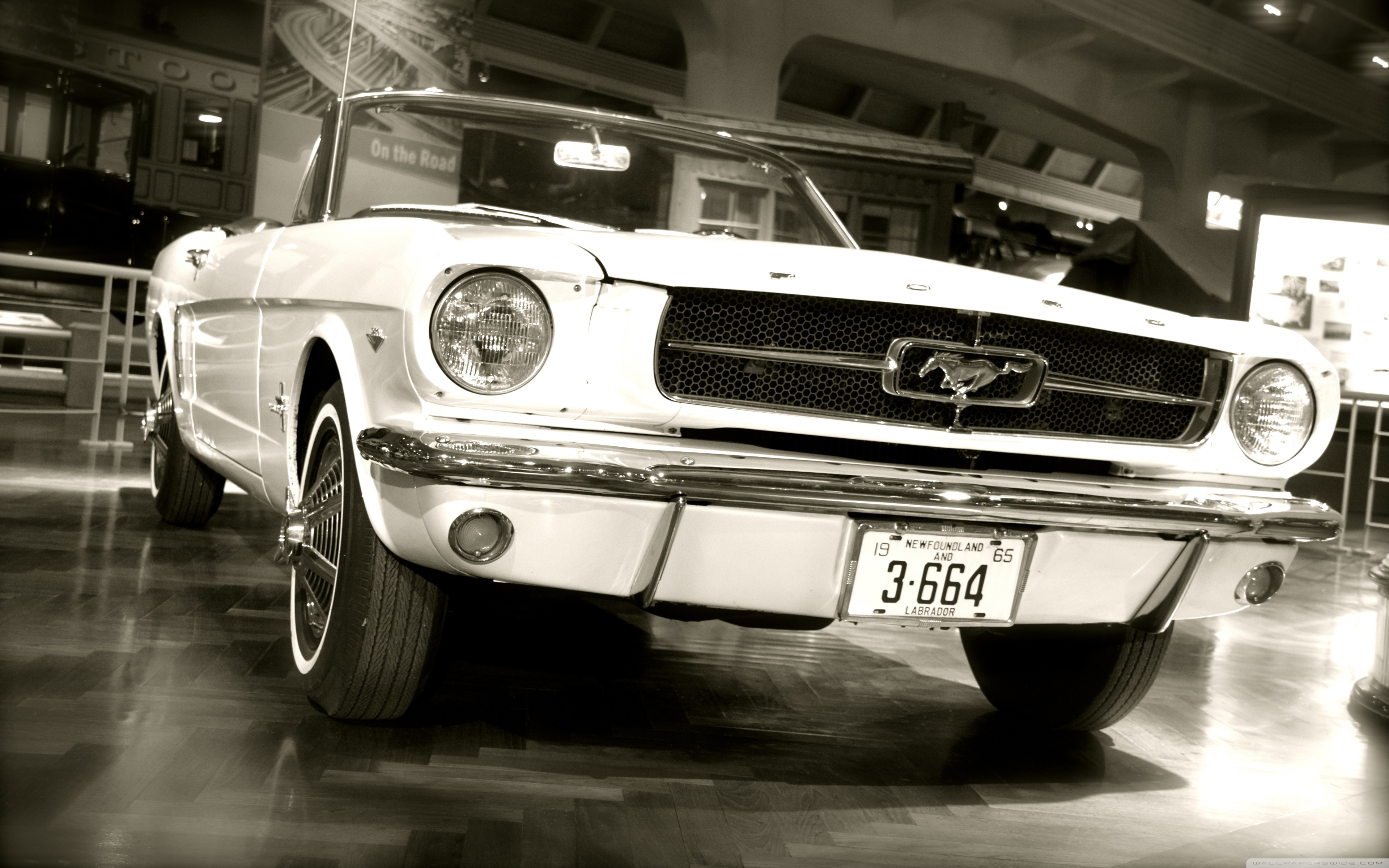 Mustang!!! Ultra HD Desktop Background Wallpaper for 4K UHD TV, Widescreen & UltraWide Desktop & Laptop, Tablet