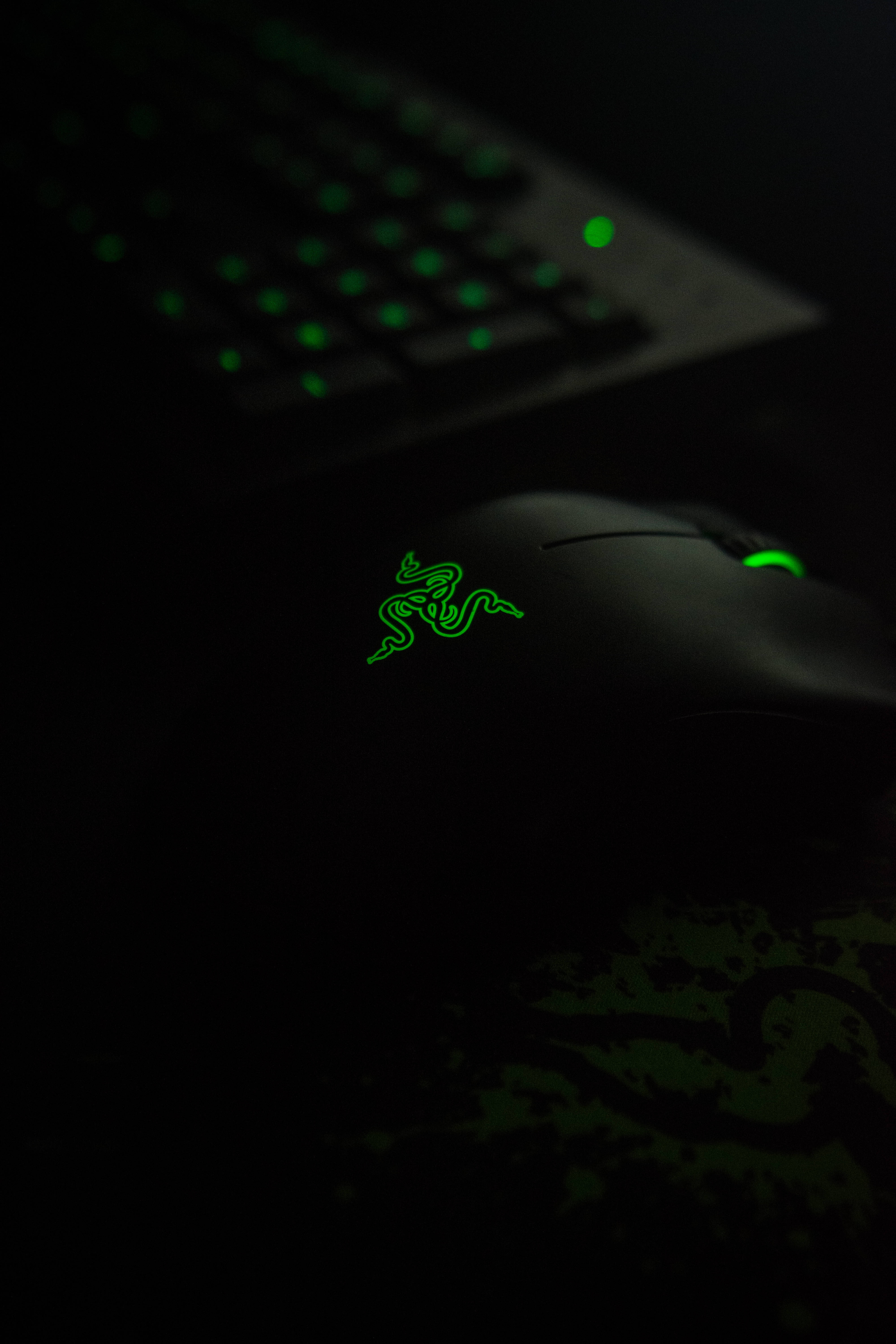 Download Razer Mouse & Keyboard Wallpaper