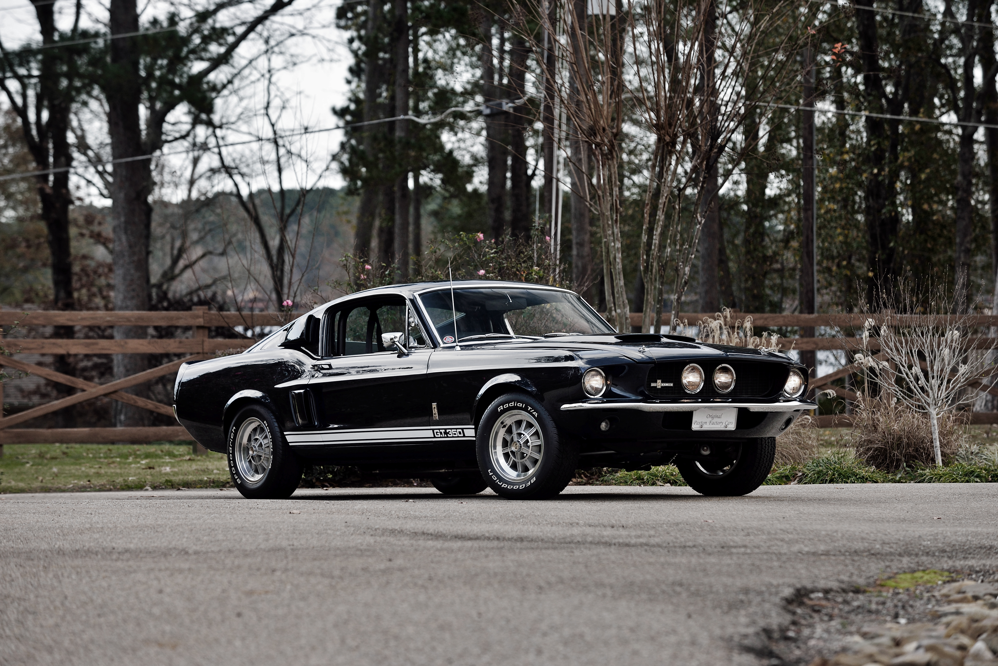 Photos Ford Shelby 1967 GT350 Mustang Metallic Black 4096x2734