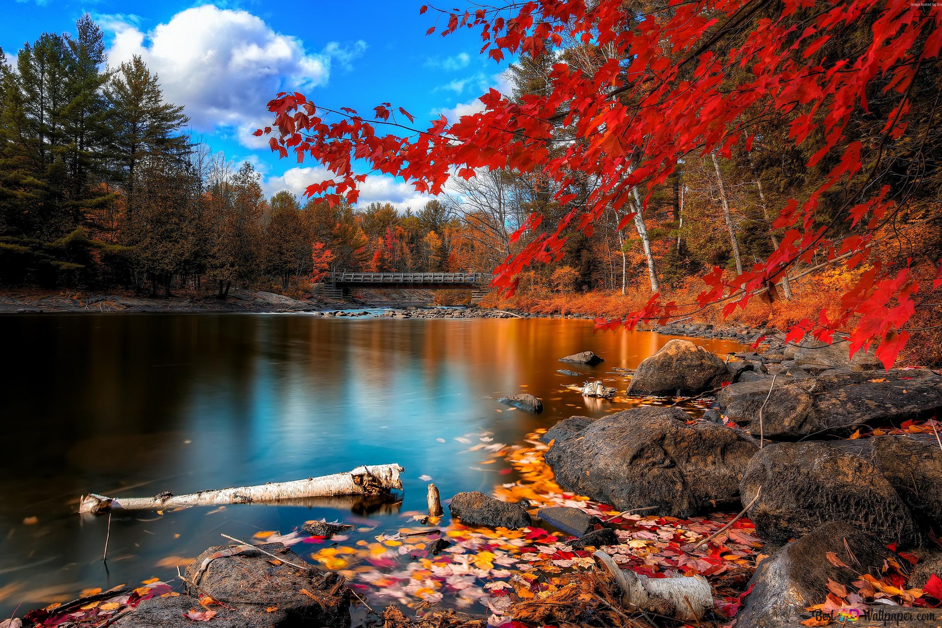 Beautiful Autumn season view 4K wallpaper download