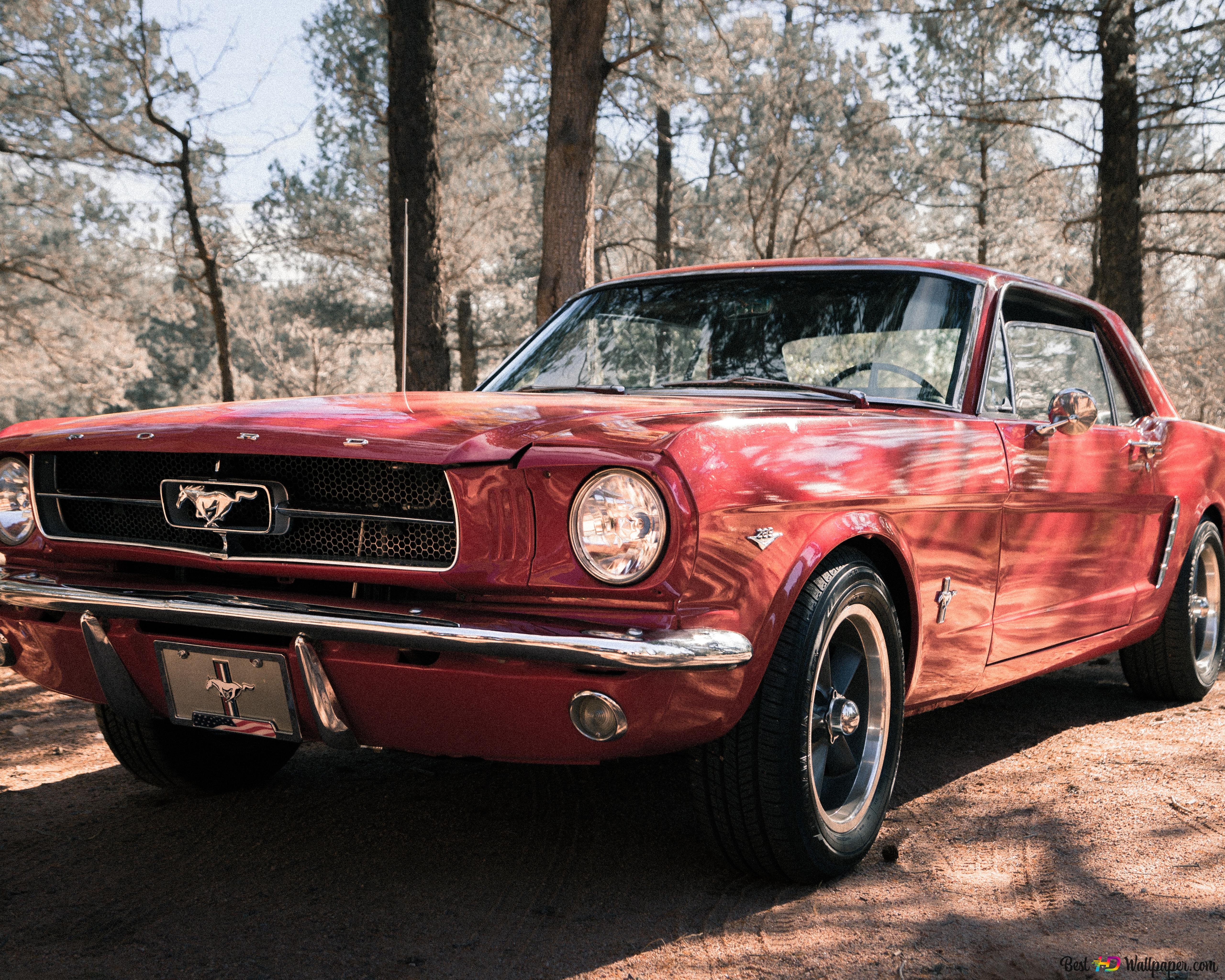Red Ford Mustang 1967 6K wallpaper download
