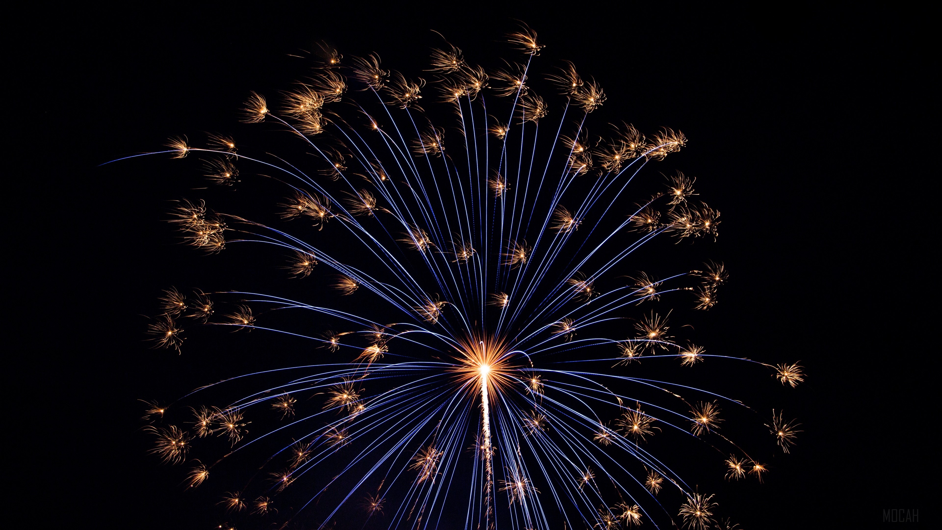 salute, fireworks, holiday 4k Gallery HD Wallpaper