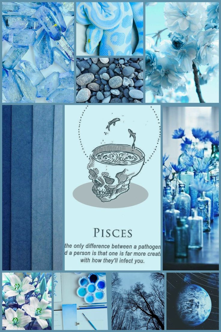 aquarius, Pisces constellation art