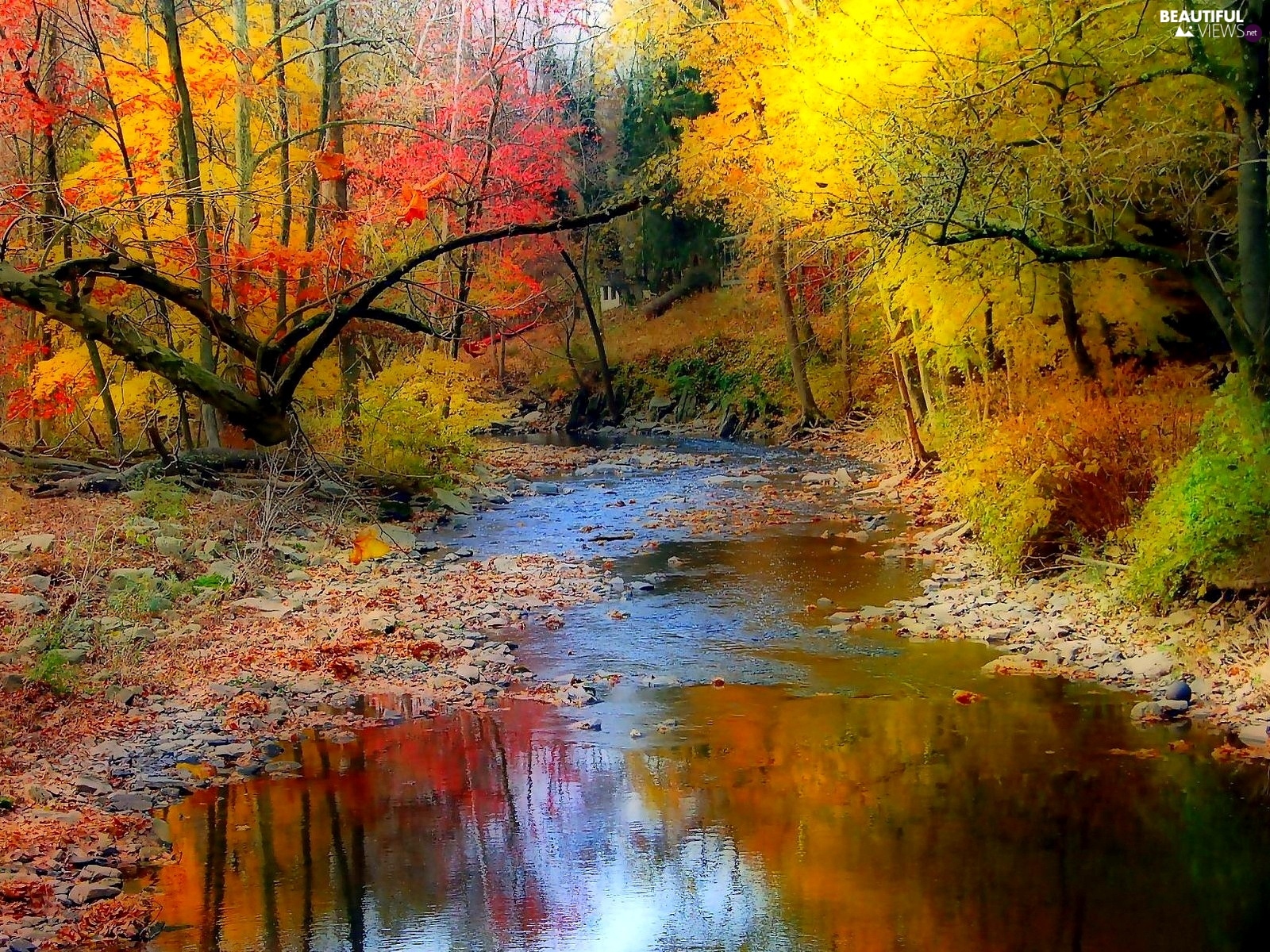 autumn, forest, stream views wallpaper: 1920x1440