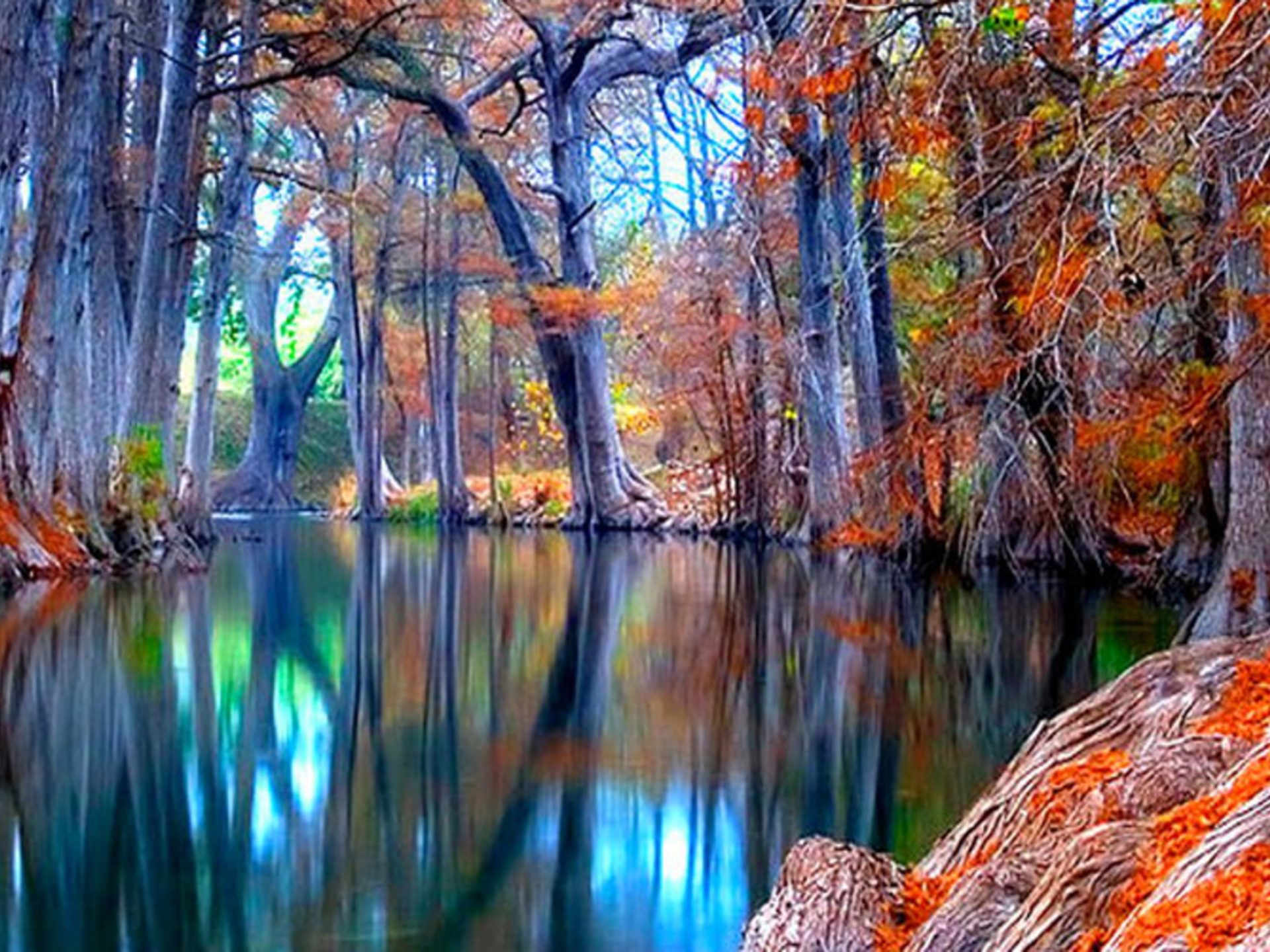 Nature Autumn Stream Background Wallpaper, Wallpaper13.com