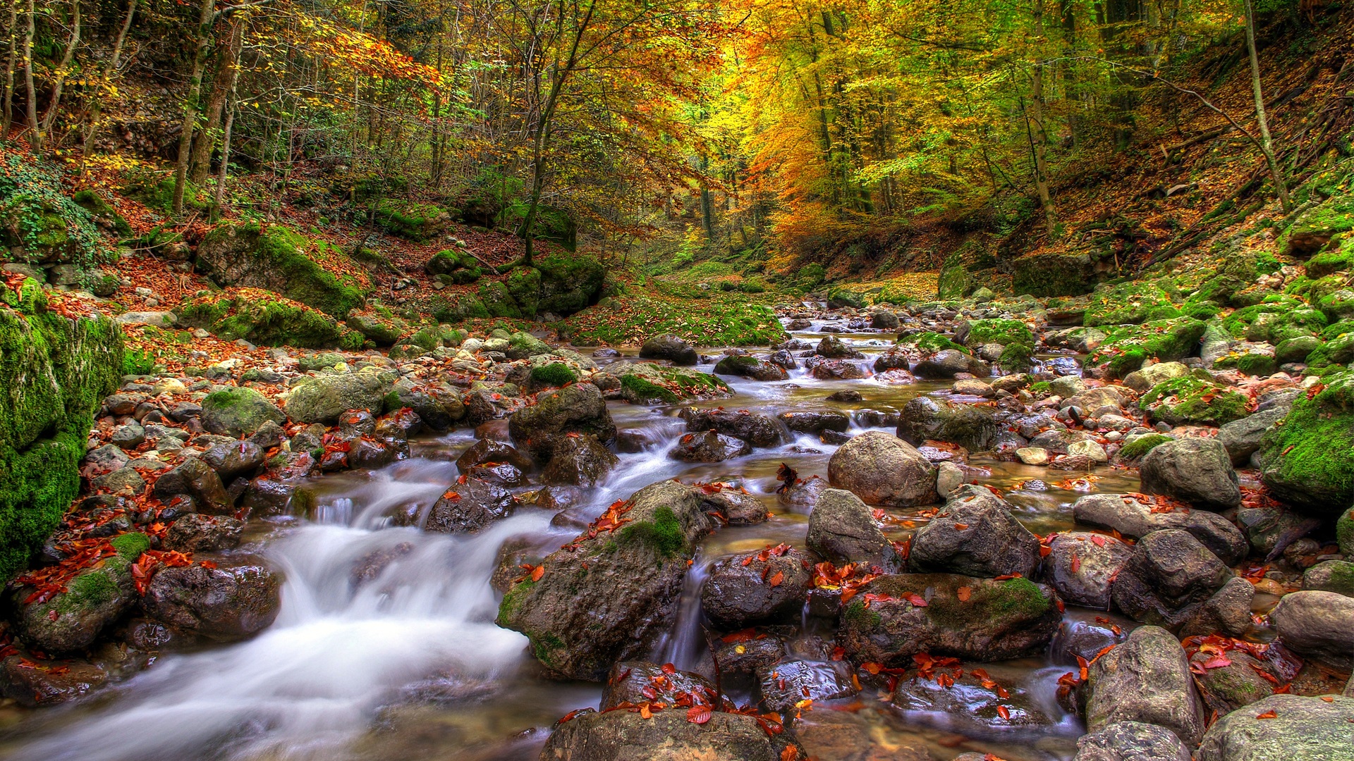 Wallpaper Forest, streams, stones, water, autumn 1920x1080 Full HD 2K Picture, Image