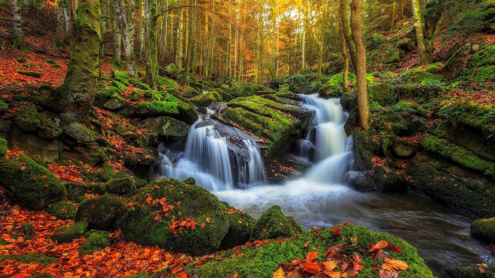 stream, fall, autumn, sunlight, colors, beautiful, creek, trees, foliage, brook, leaves, season, river