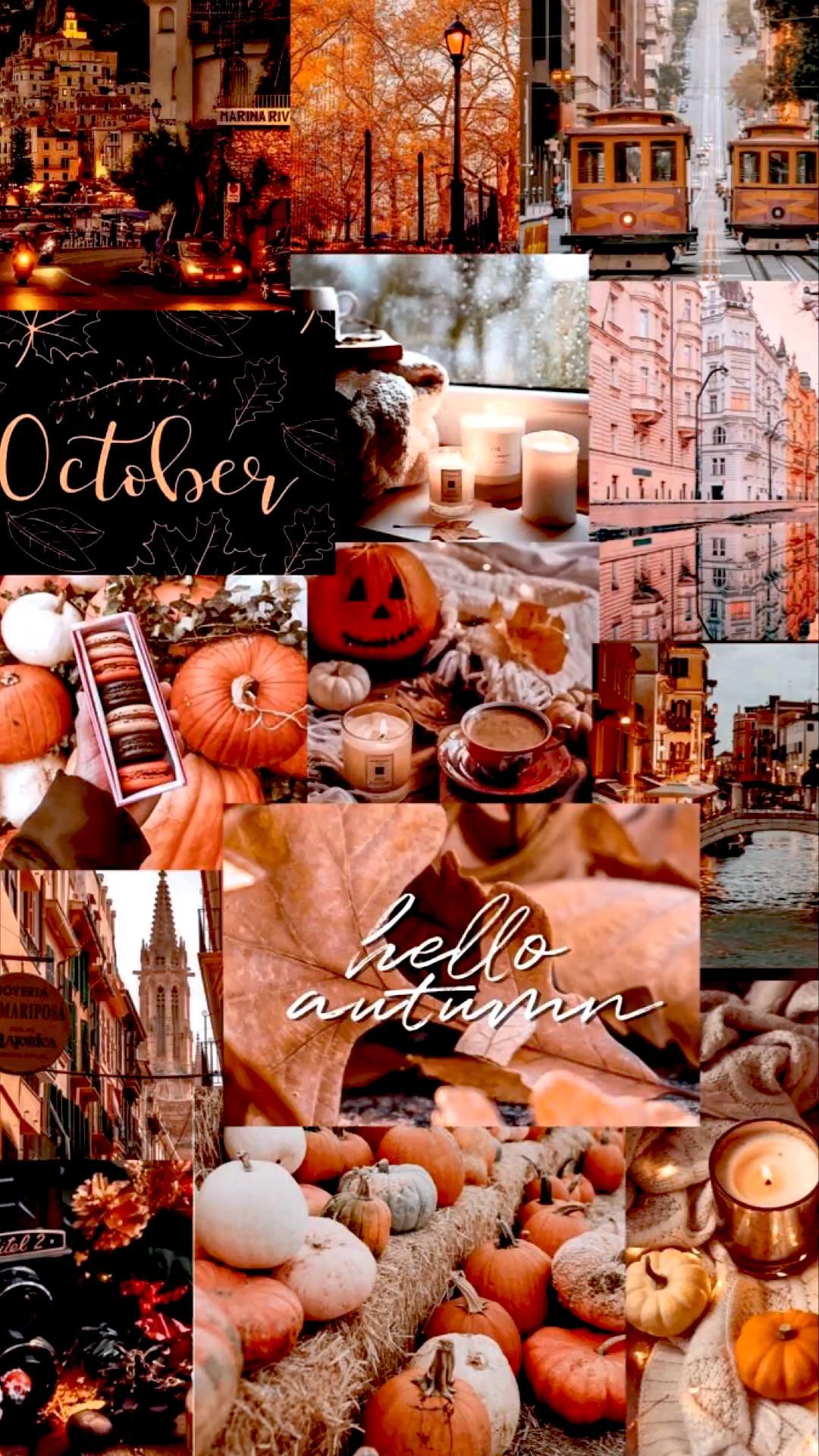 Cute autumn wallpaper. iPhone wallpaper fall, Autumn phone wallpaper, Fall wallpaper