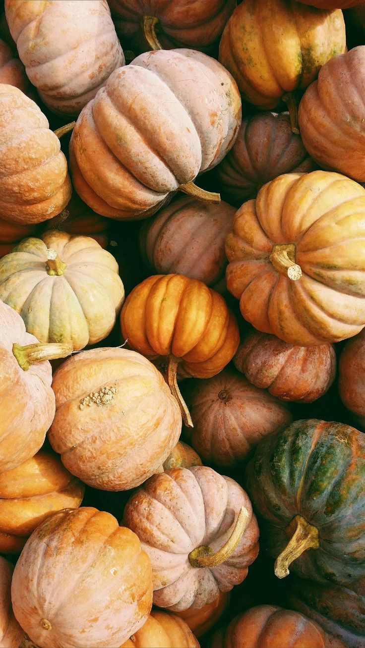 iPhone Wallpaper To Fall In Love With Autumn. Preppy Wallpaper. Pumpkin wallpaper, Free fall wallpaper, iPhone wallpaper fall