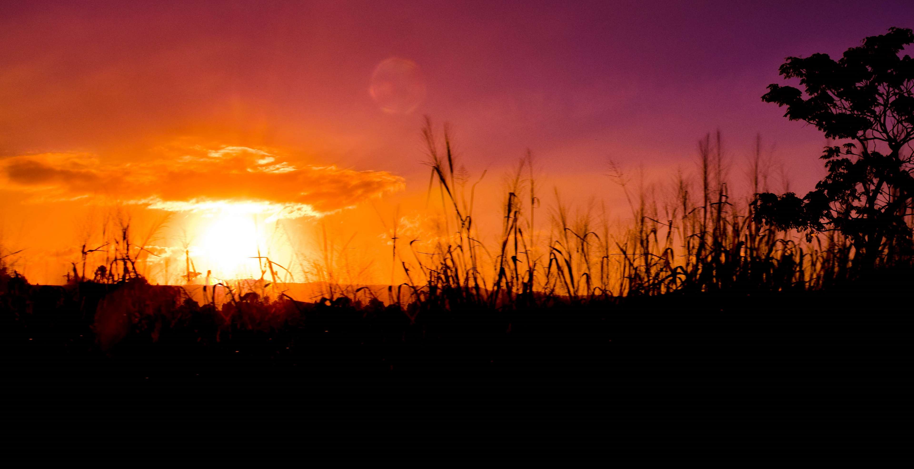 beautiful, cloud, cloud formation, colorful, evening, evening sky, evening sun, free wallpaper, HD wallpaper, landscape, outdoor, ray of sunshine, scenic, sunset 4k wallpaper