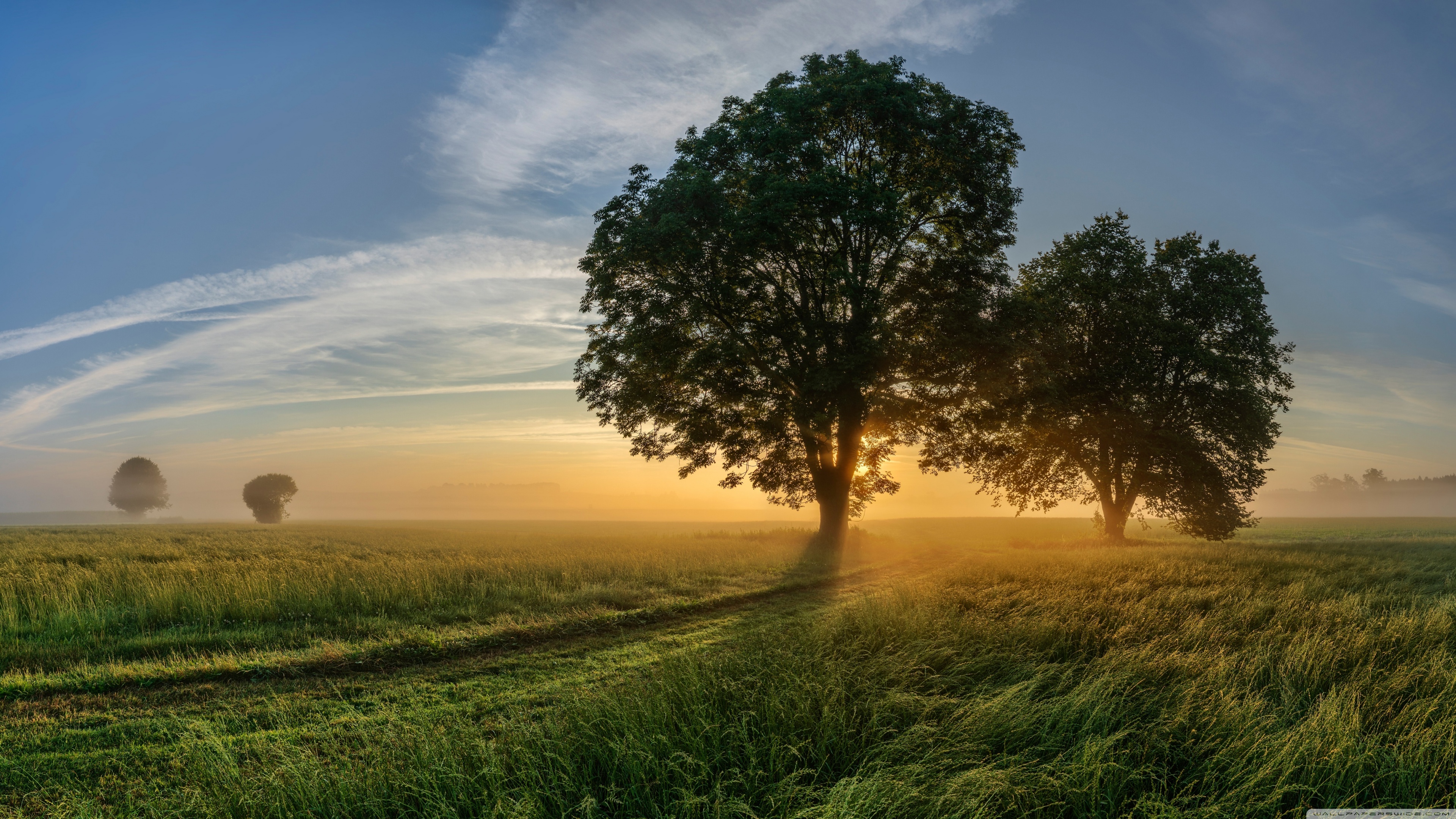 Countryside Road, Trees, Sunshine Ultra HD Desktop Background Wallpaper for 4K UHD TV, Widescreen & UltraWide Desktop & Laptop, Multi Display, Dual Monitor, Tablet