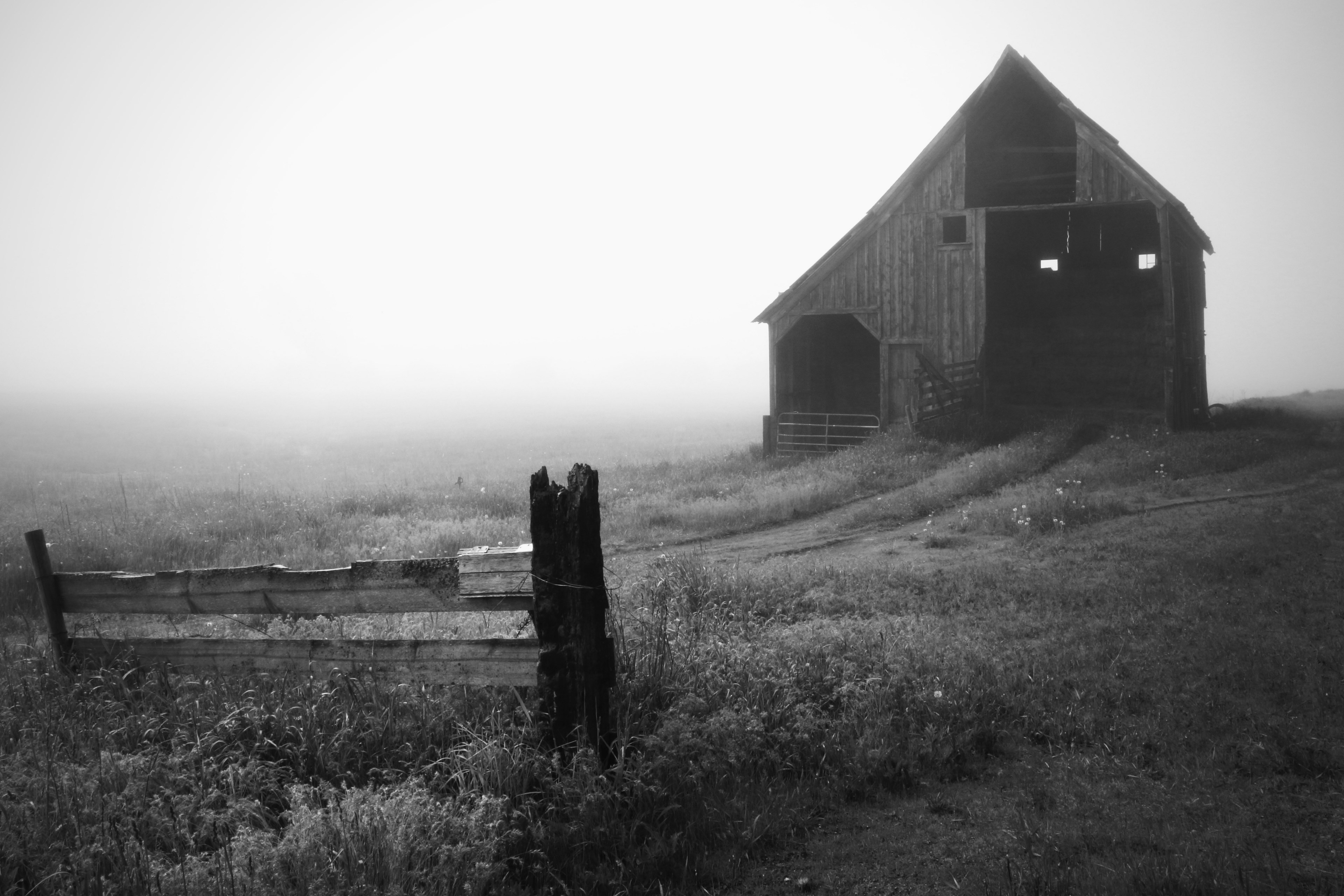 Wallpaper / small paths 4k wallpaper free download