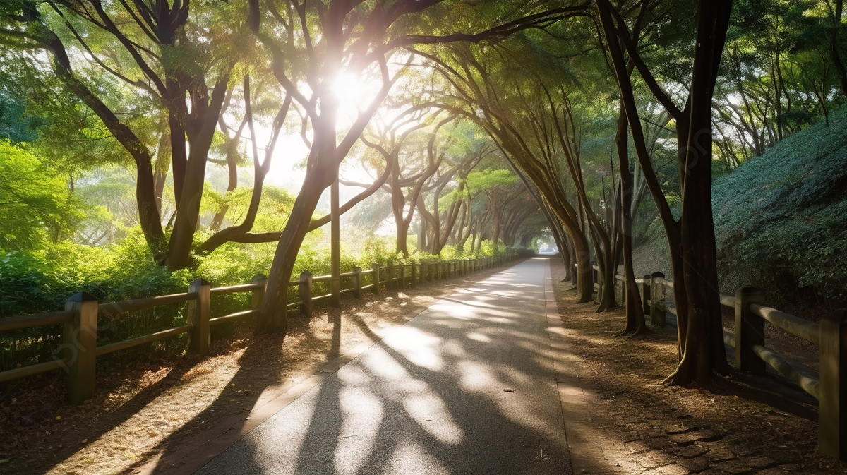 Small Pathway Shaded In Trees And Sunrays Background, A Promenade With Sunlight Filteringes, HD Photography Photo, Plant Background Image And Wallpaper for Free Download