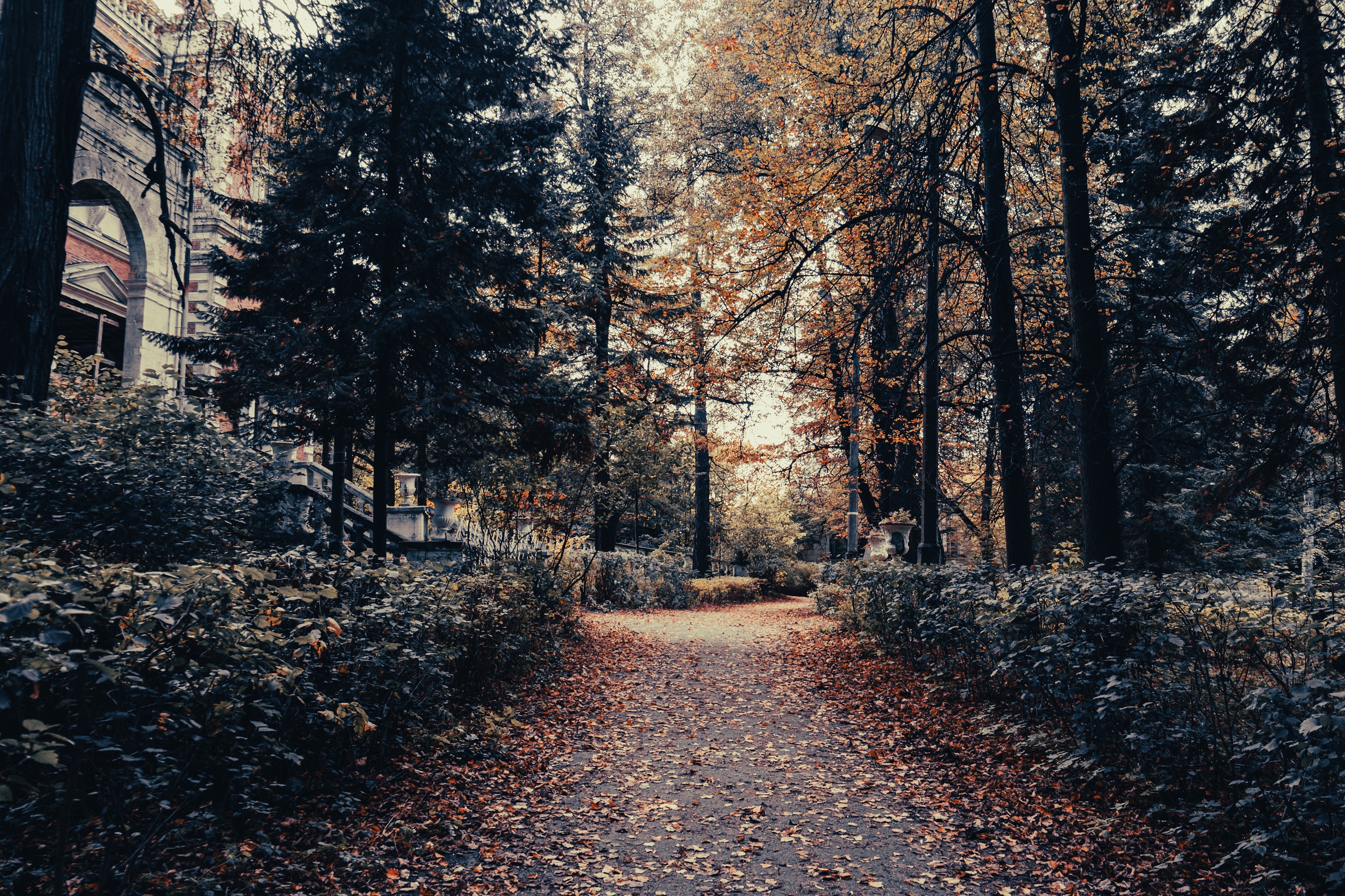 Small house near green trees in countryside · Free